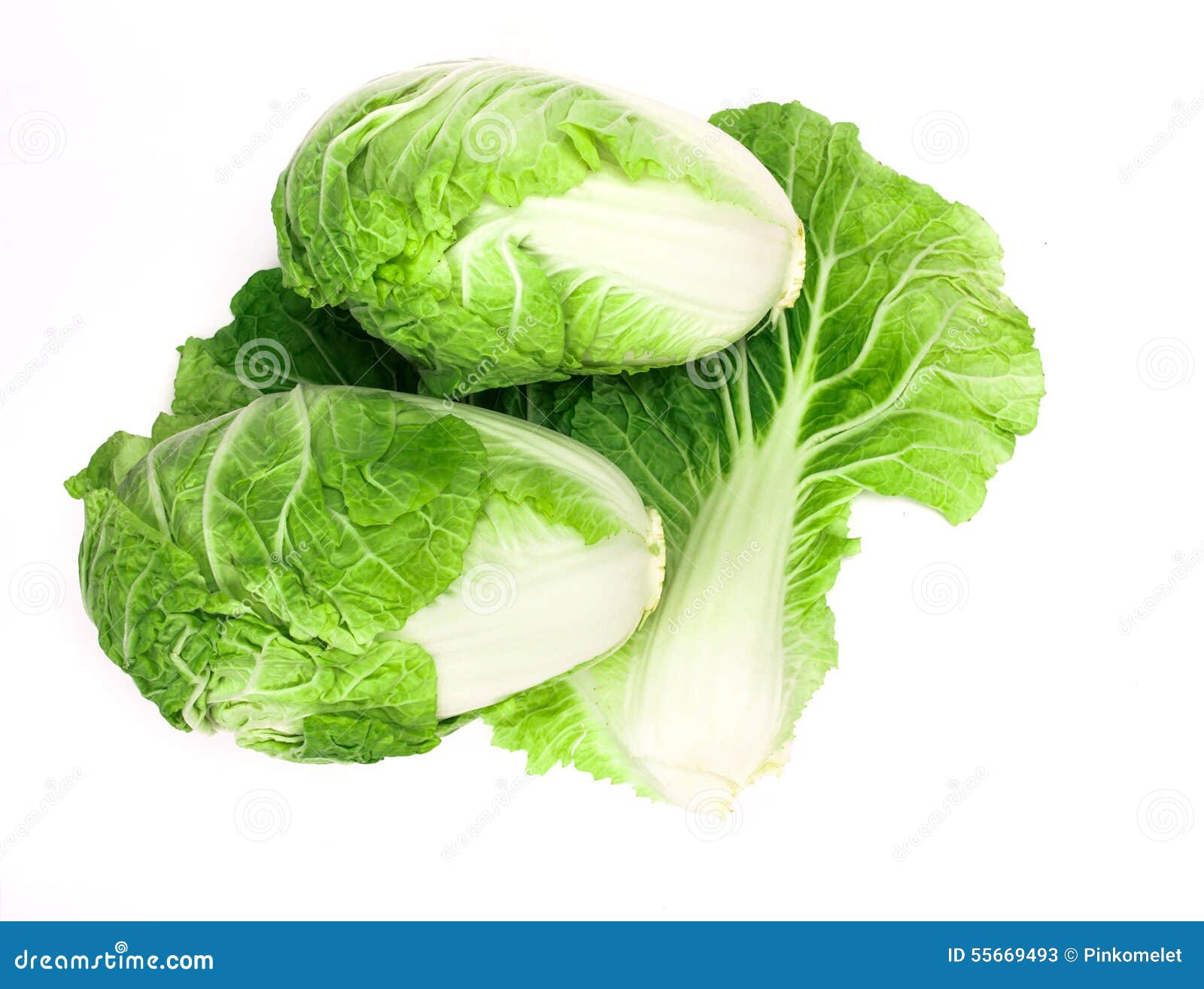 Fresh Chinese Cabbage on a White Background Stock Image Image of