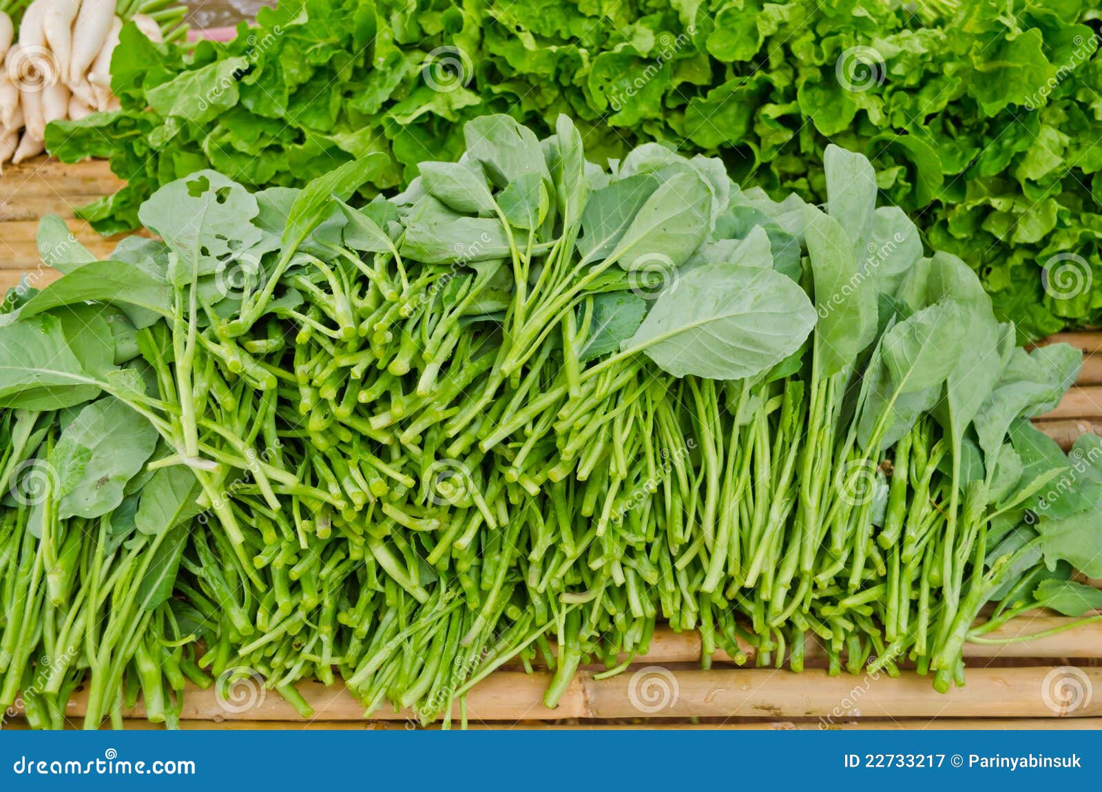 Fresh Chinese Kale stock image. Image of fresh, agriculture 22733217