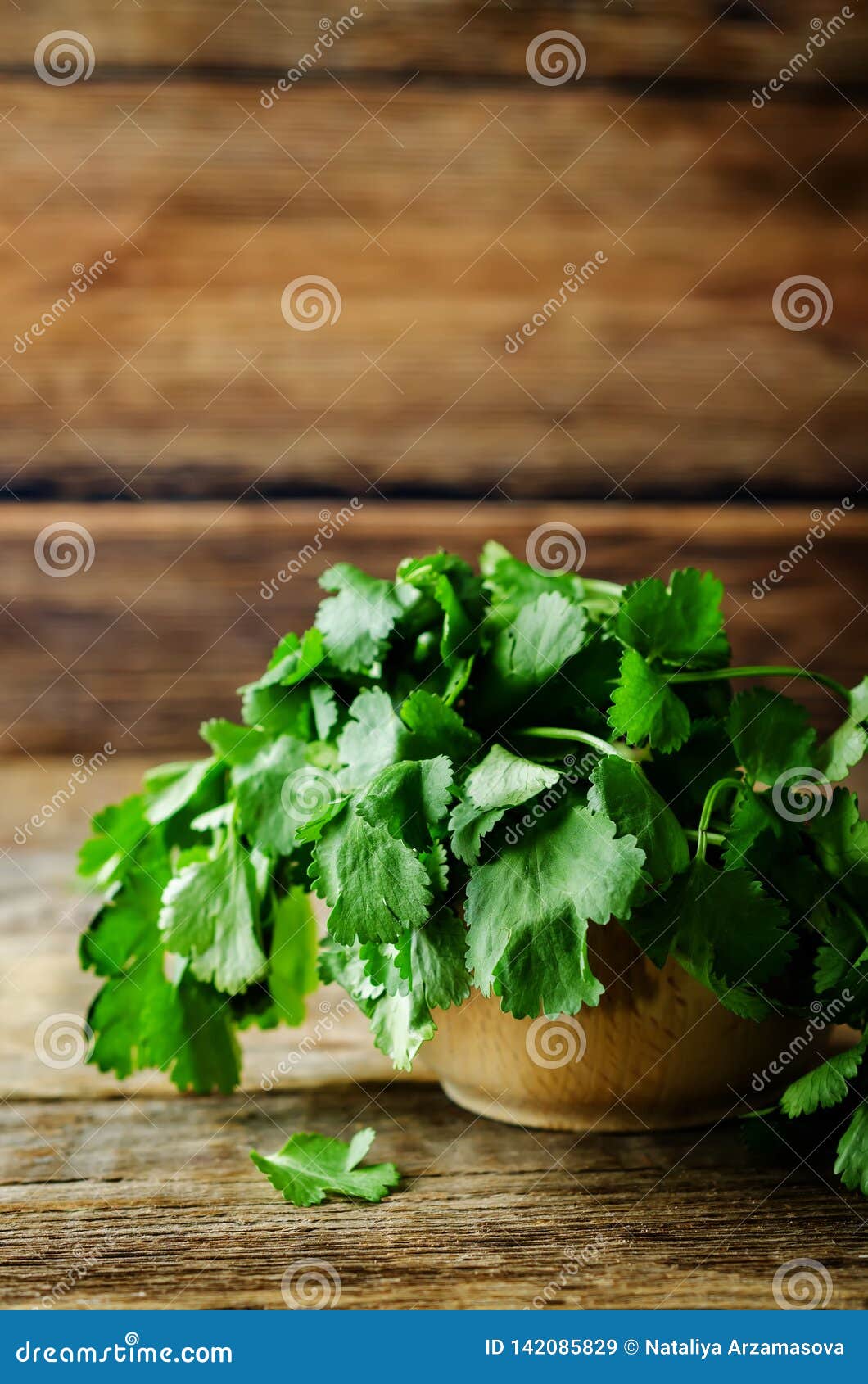 Fresh Cilantro Bunch stock image. Image of healthy, slice 142085829