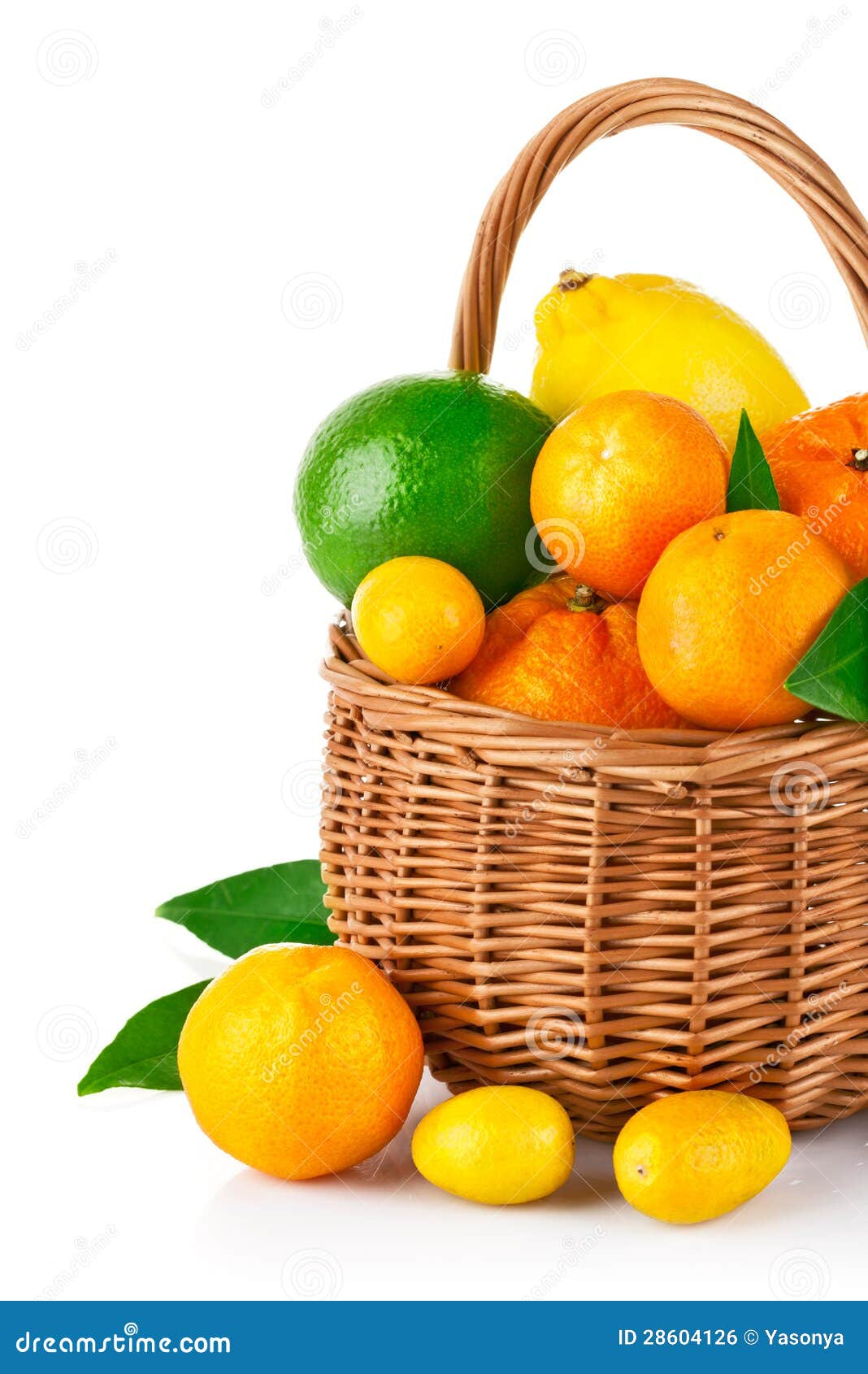 Fresh Citrus Fruit in the Basket with Green Leaf Stock Photo Image of