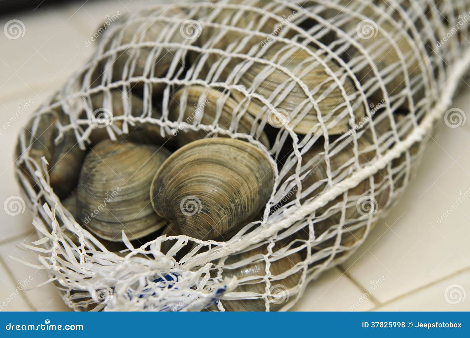 Fresh Clams in Mesh Seafood Bag Stock Photo Image of cuisine, soup