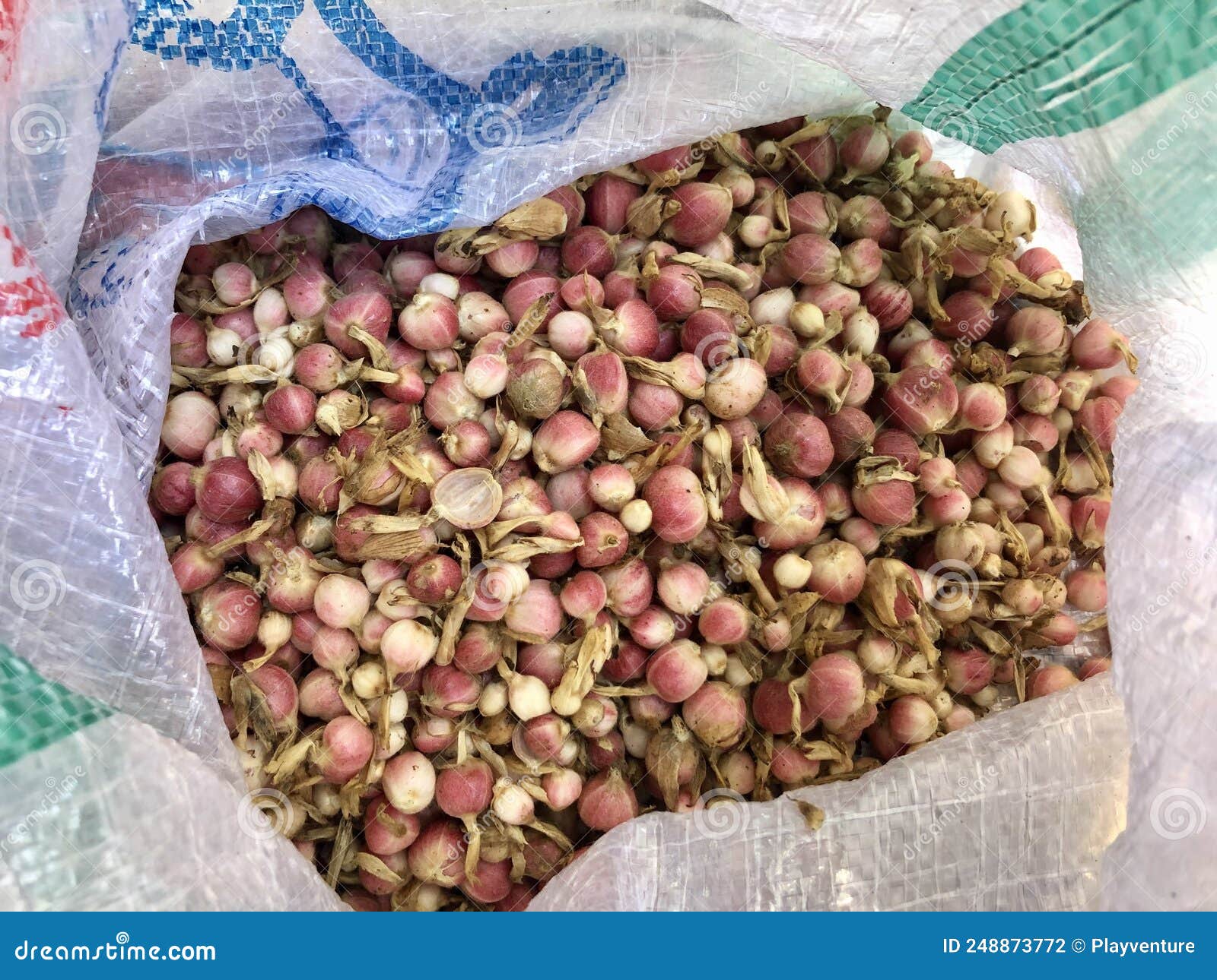 Cloves stock photo. Image of produce, flower, snack 248873772