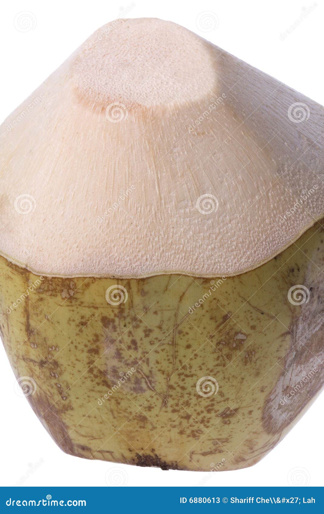 Fresh coconut. Fresh partially peeled coconut isolated on white background.