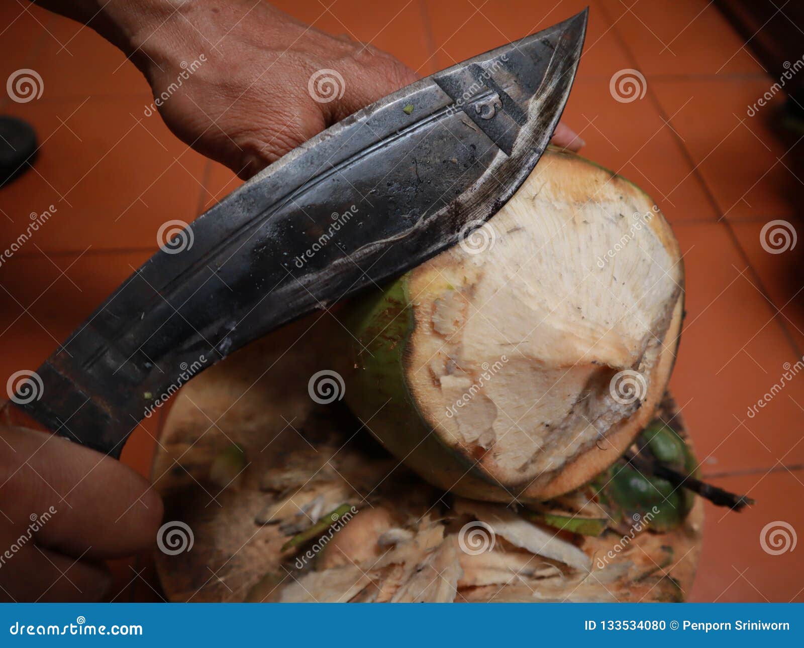 Fresh Coconut Cutting with Knife Stock Photo Image of holding