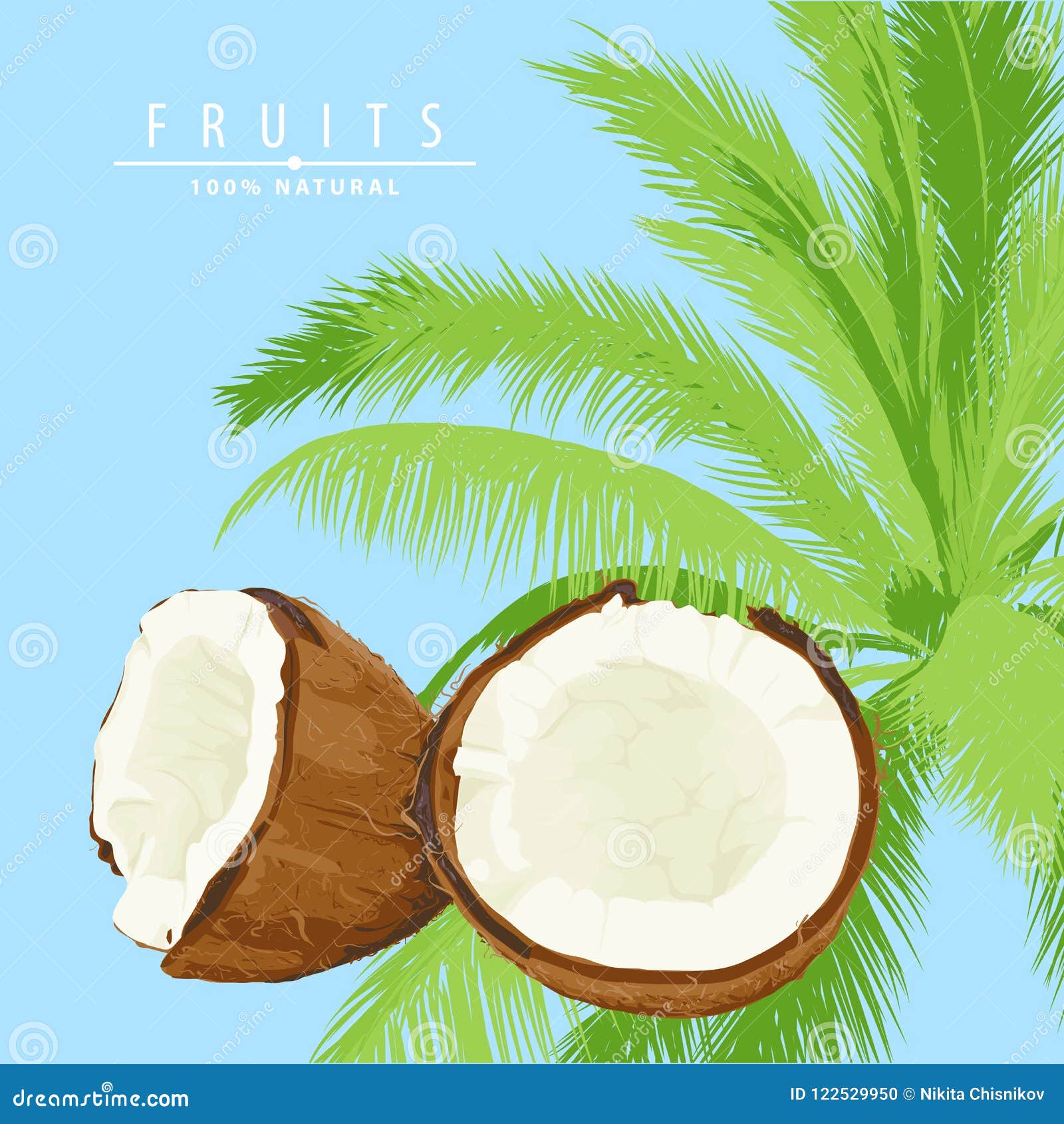 Fresh coconut illustration stock vector. Illustration of fruit - 122529950