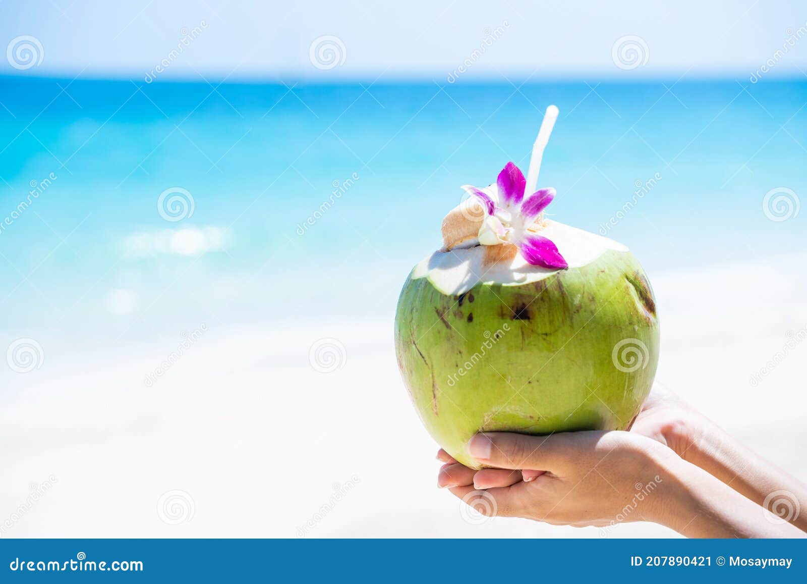 Fresh Coconut Juice on the Beach Stock Image Image of water, sand