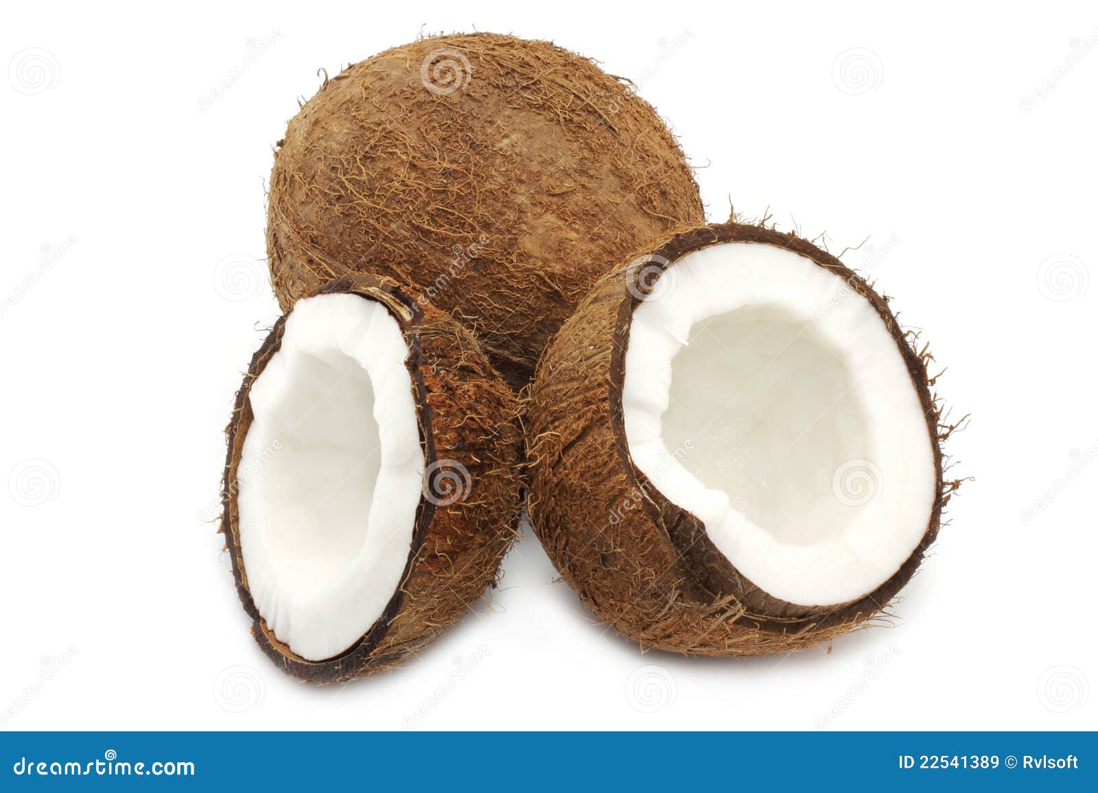 coconut fruit parts