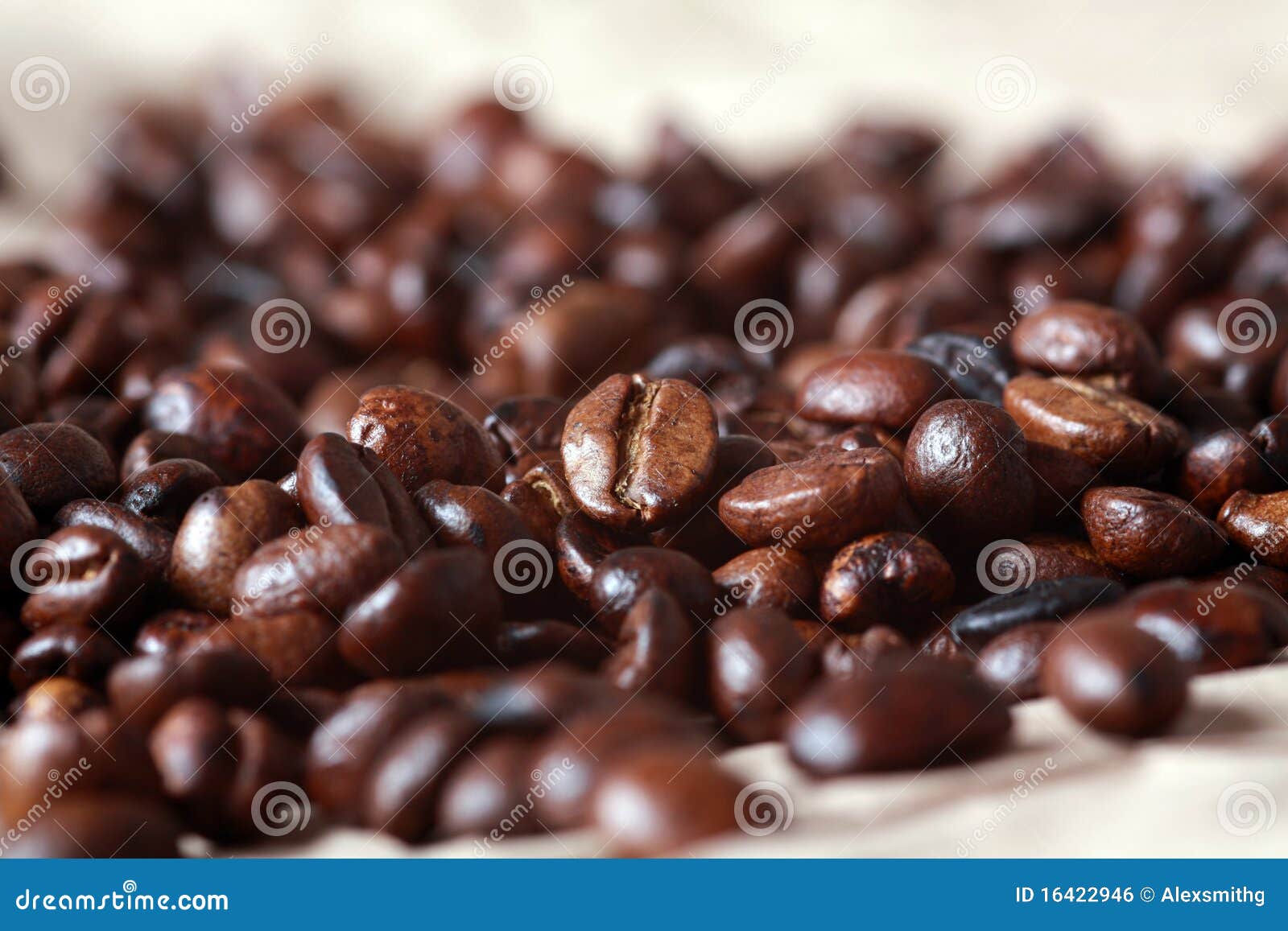 fresh coffee 咖啡豆 - 花魁咖啡豆