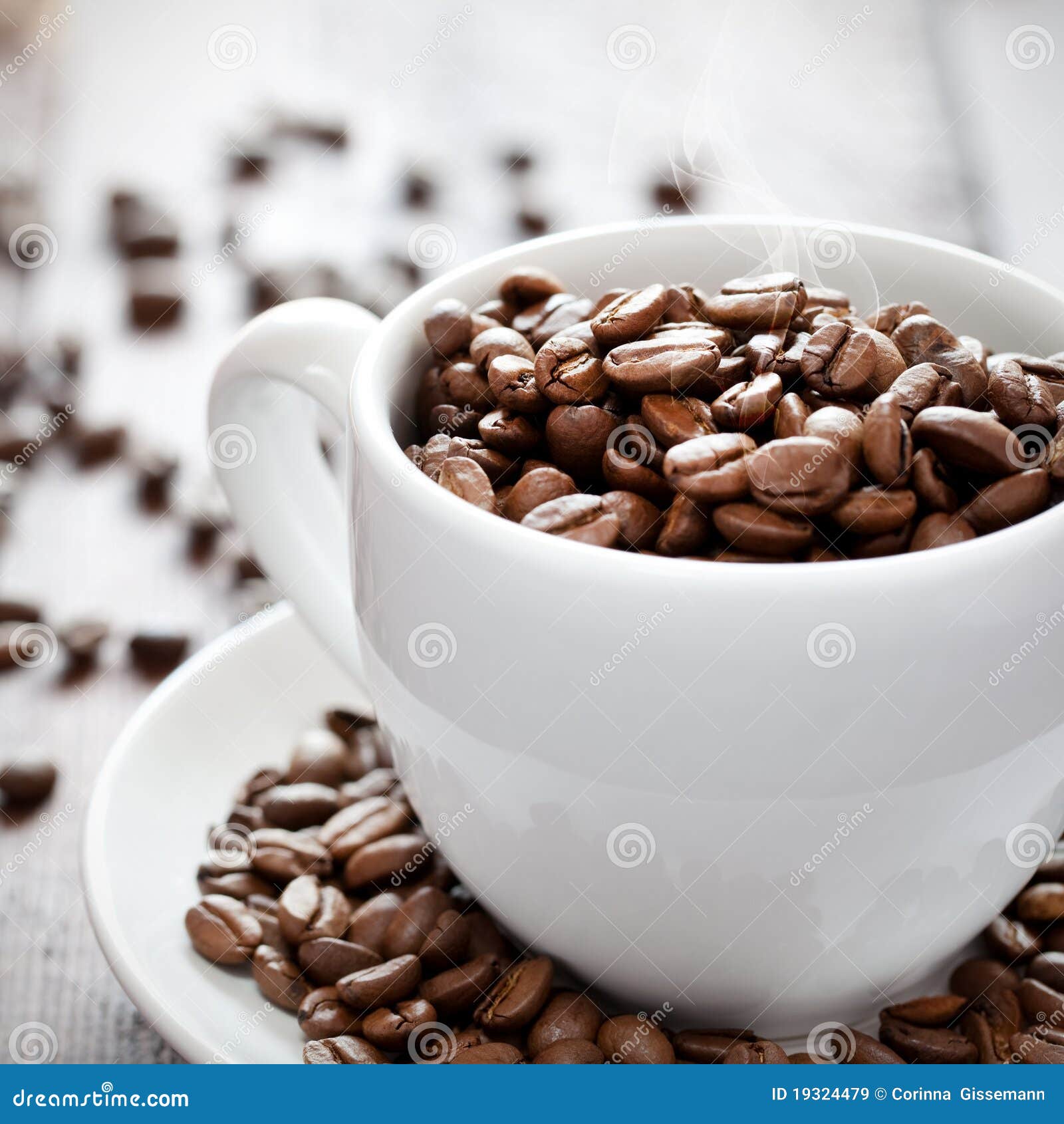 Fresh coffee beans stock image. Image of beans, bean - 19324479