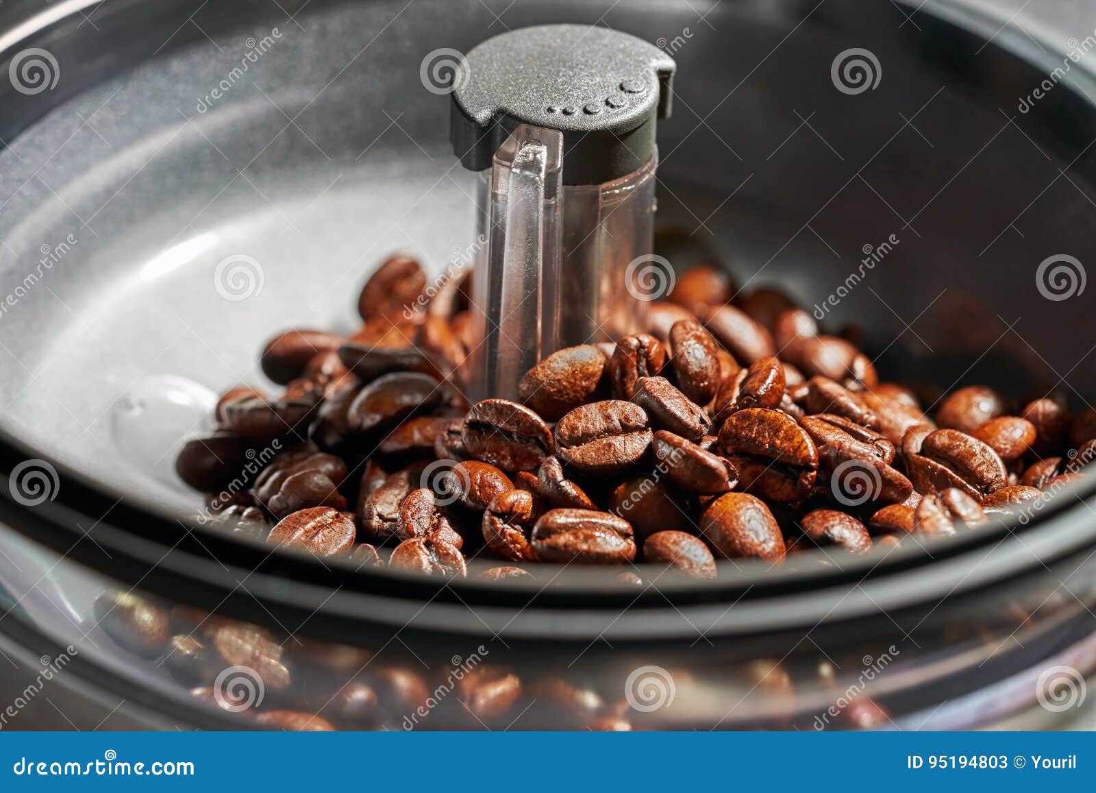 Fresh Coffee Beans in Coffee Machine Grinders Stock Image Image of