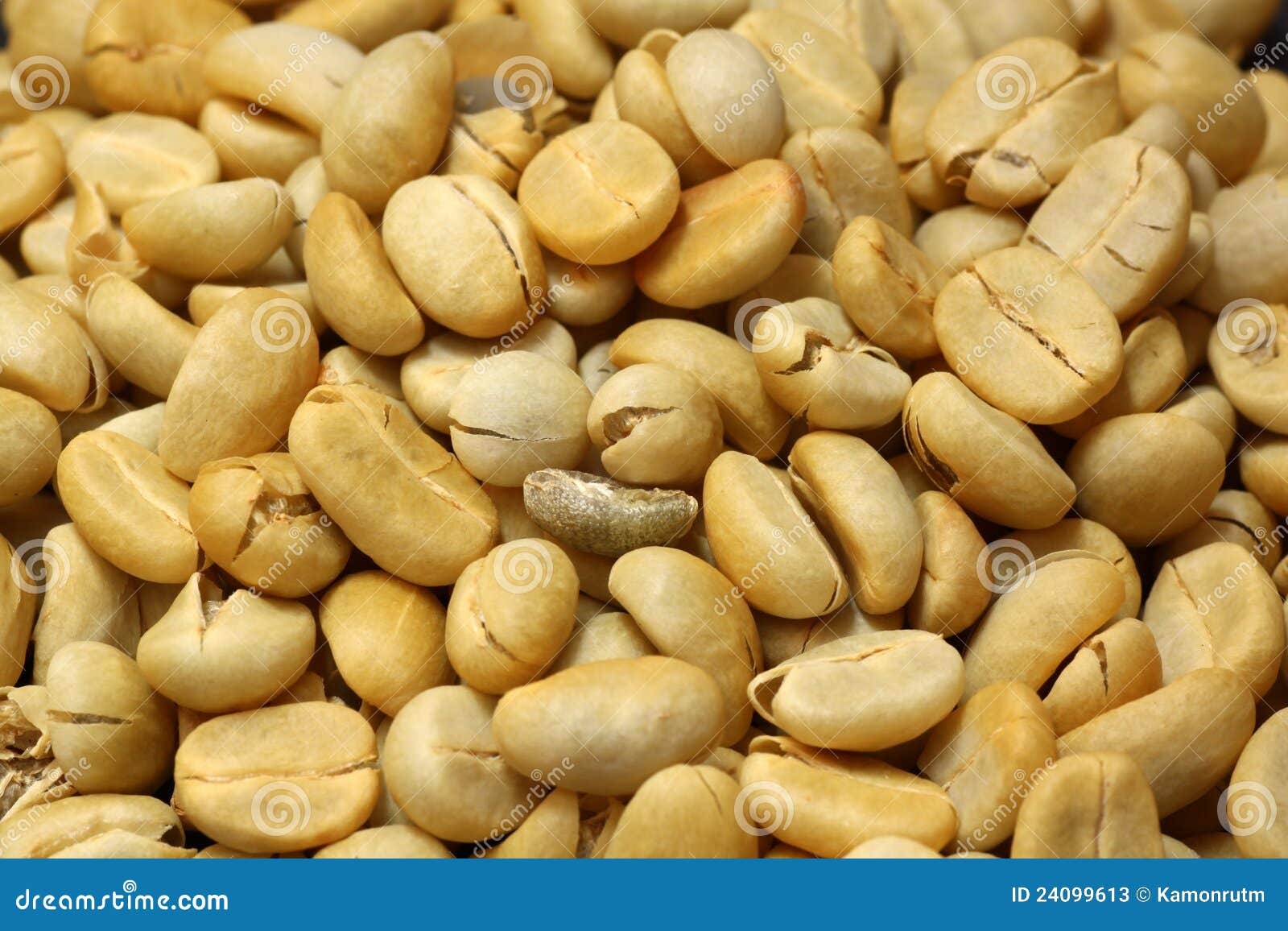 Fresh Coffee Beans Not Roast Stock Image Image of aroma, copy 24099613