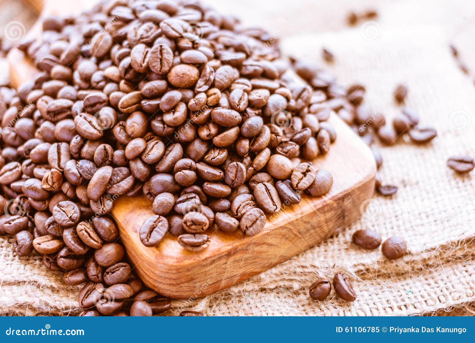 Fresh Coffee Beans stock image. Image of breakfast, beans 61106785