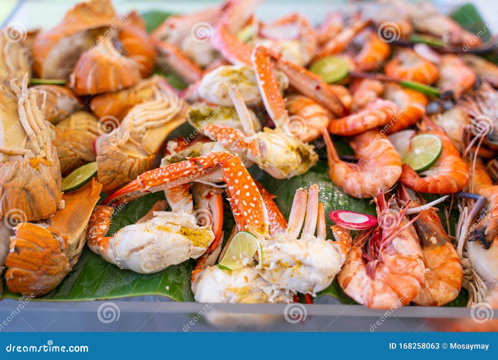 Fresh Cold Seafood Platter in Line Buffet Stock Image Image of clod
