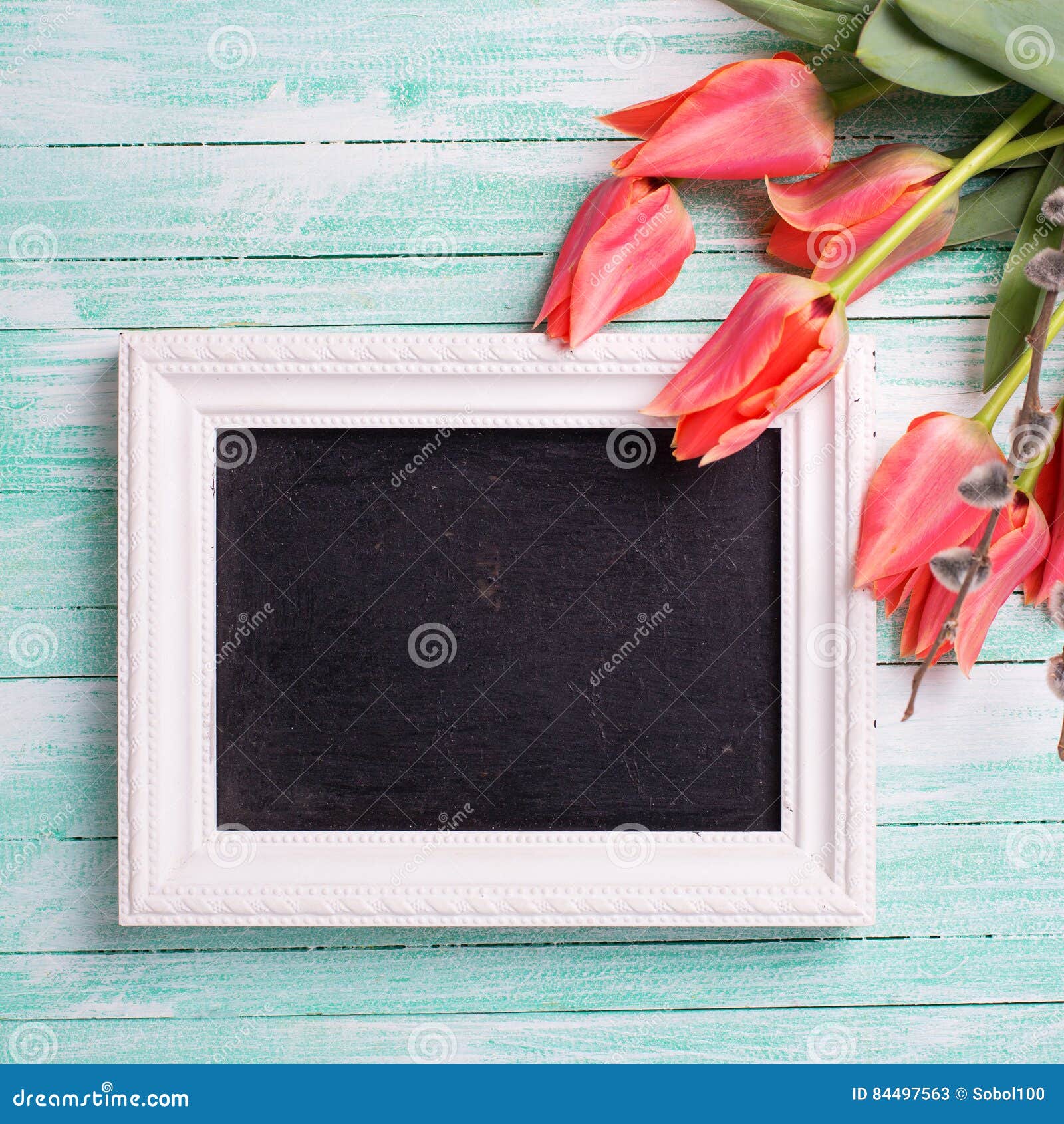 Fresh Coral Tulips, Willow and Empty Blackboard on Turquo Stock Image ...