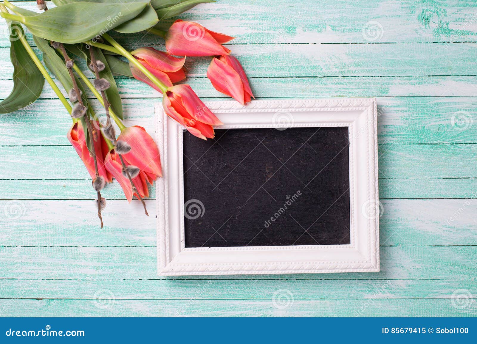 Fresh Coral Tulips, Willow and Empty Blackboard on Turquo Stock Image ...