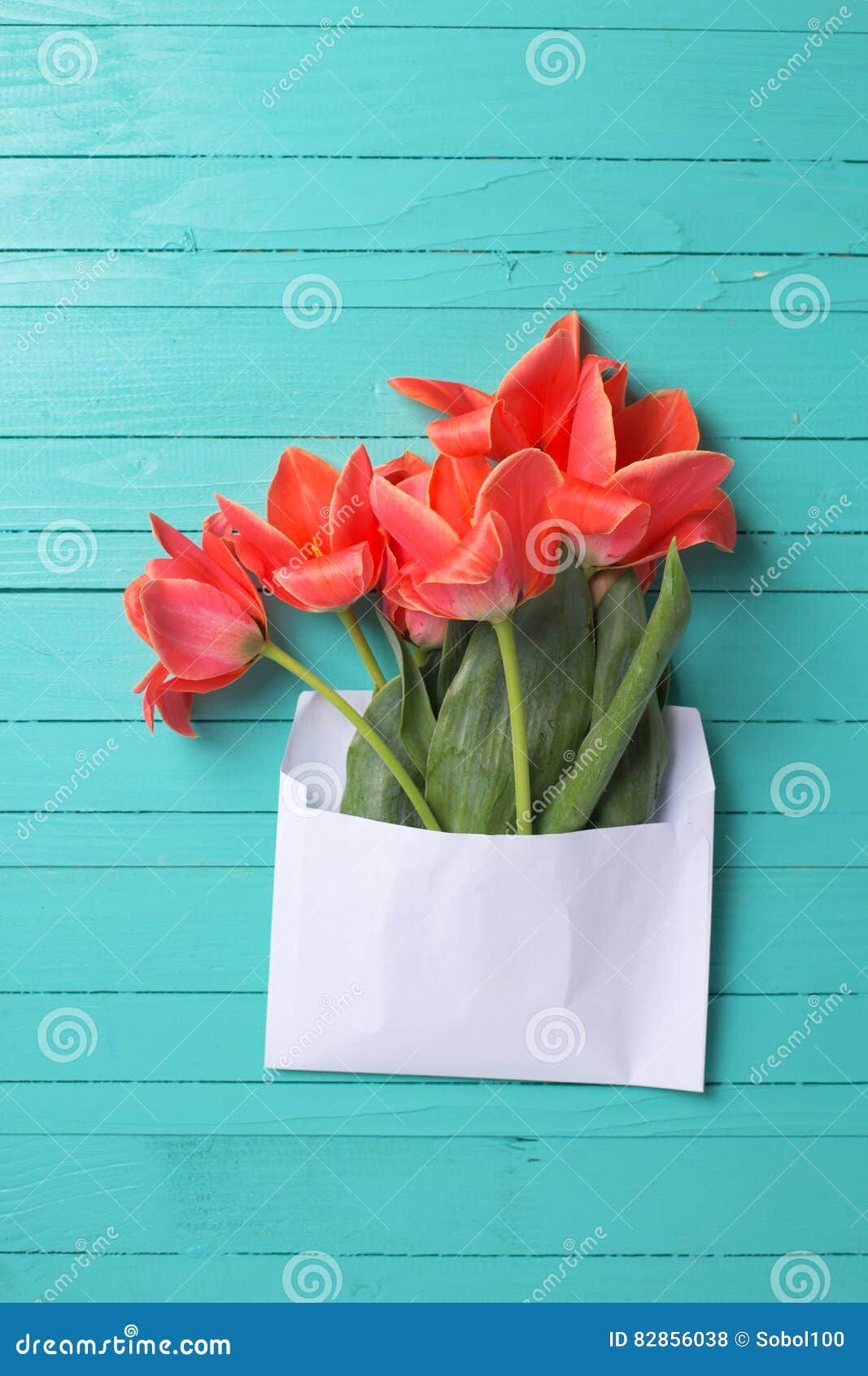 Fresh Coral Tulips in White Envelope on Turquoise Wooden Background ...