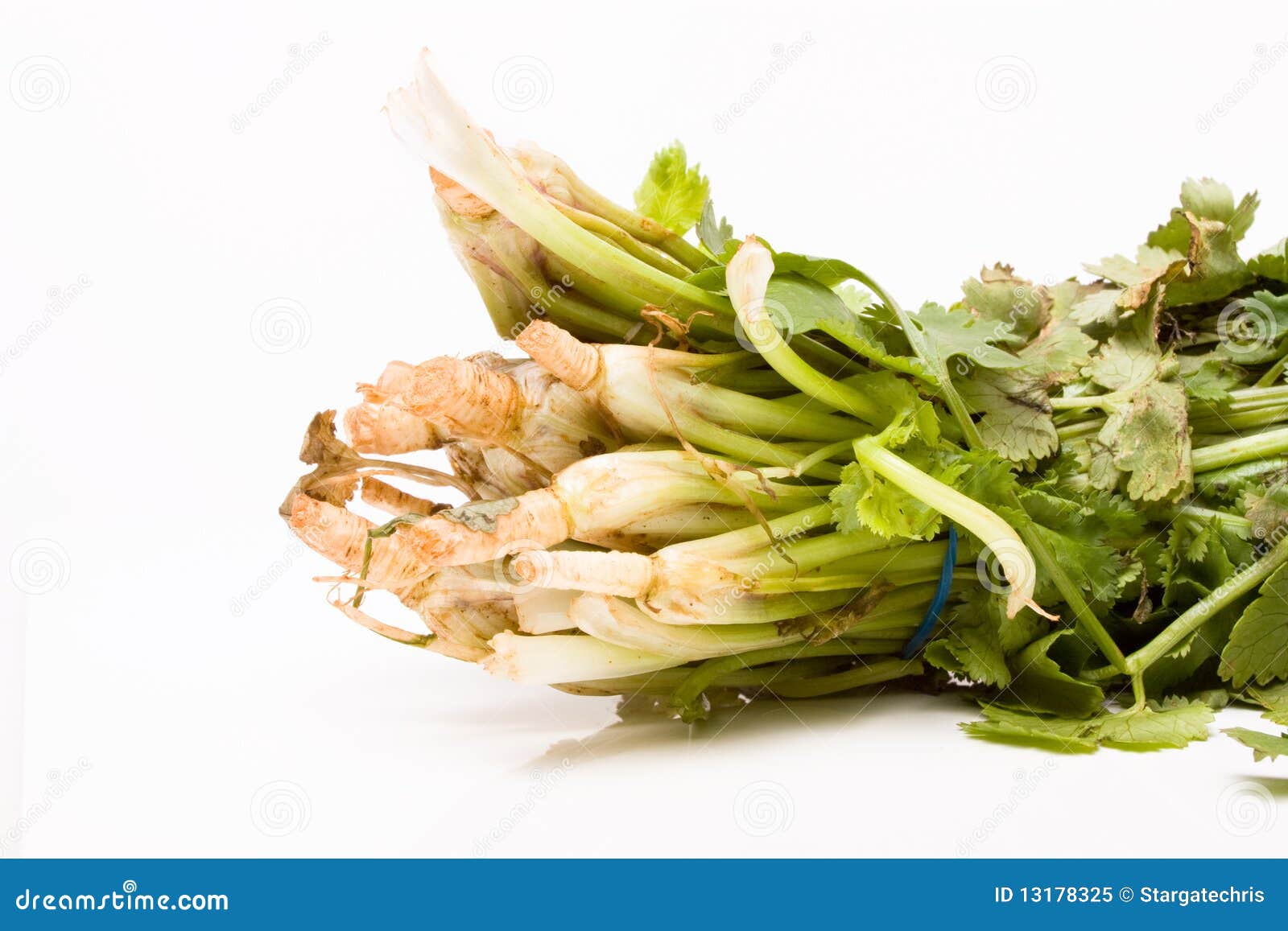 Fresh Coriander stock image. Image of leaf, closeup, natural 13178325