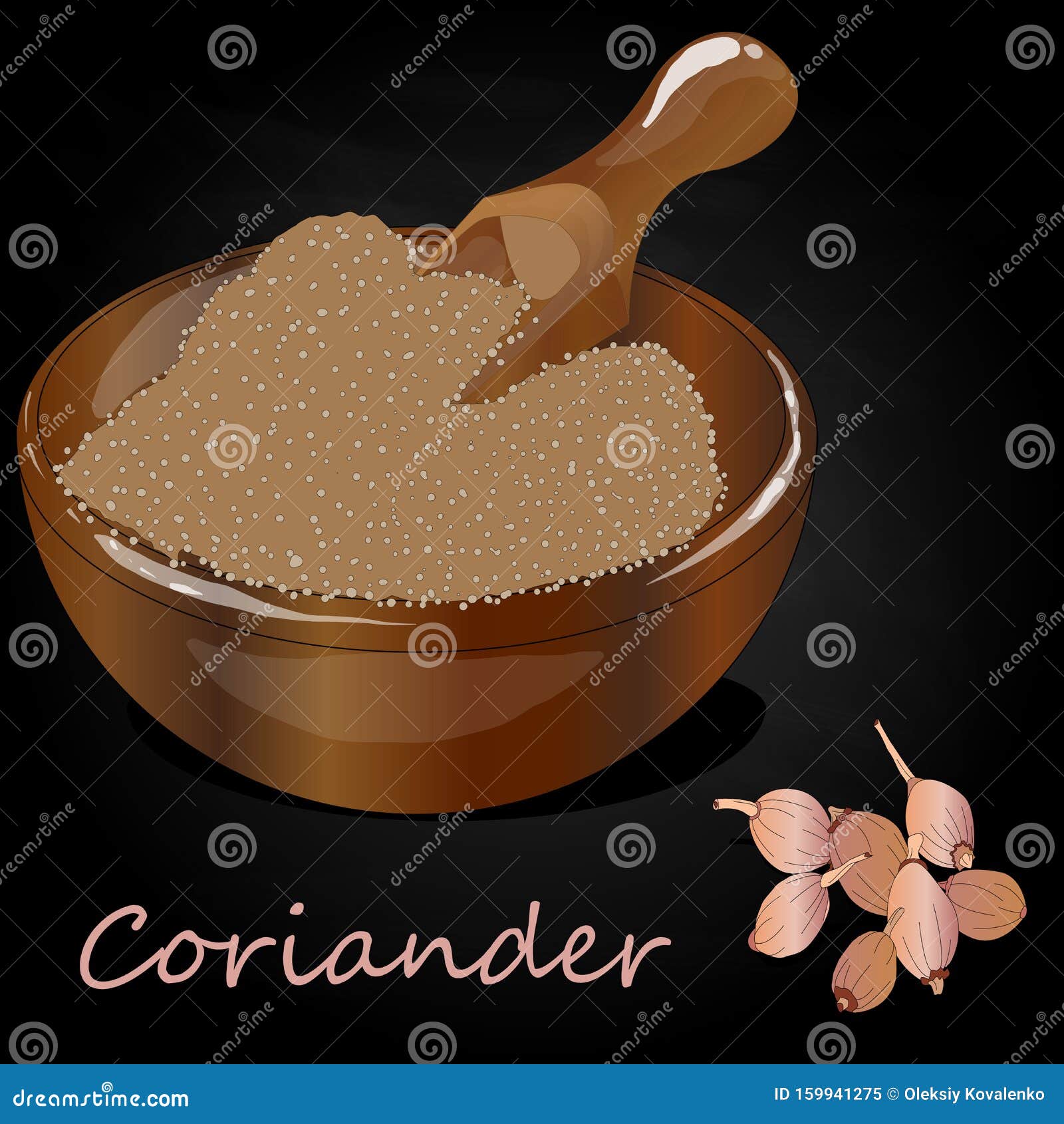 Fresh Coriander or Cilantro Herb.Coriander Powder in the Cup Stock