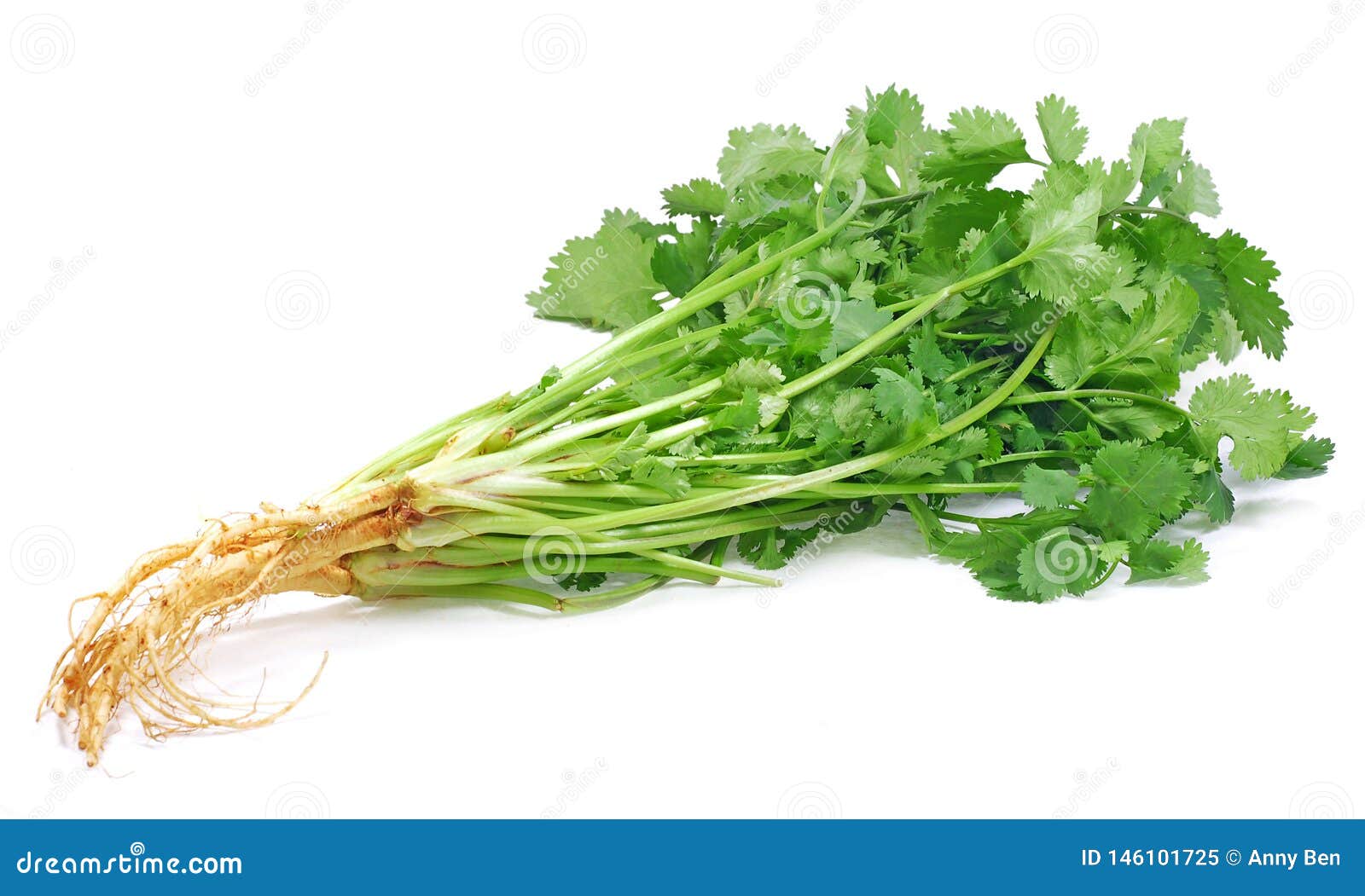 Coriander Leaves Cut Out Isolated On White Background Stock Image Image Of Aroma Cook 146101725,Carnival Glass Bowl With Lid