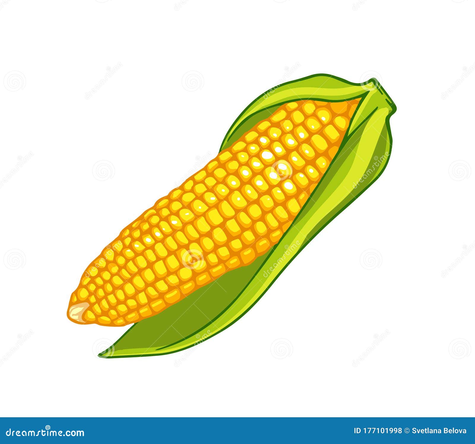 Download Fresh Corn. Cartoon Vector Icon Isolated On White Stock ...