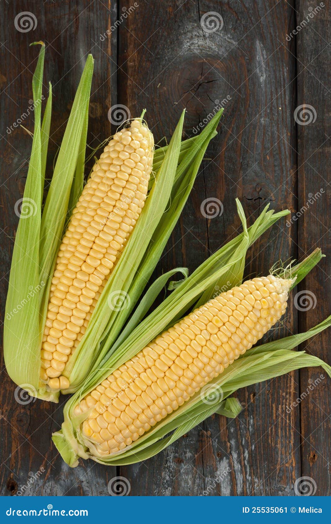 fresh corn cobs
