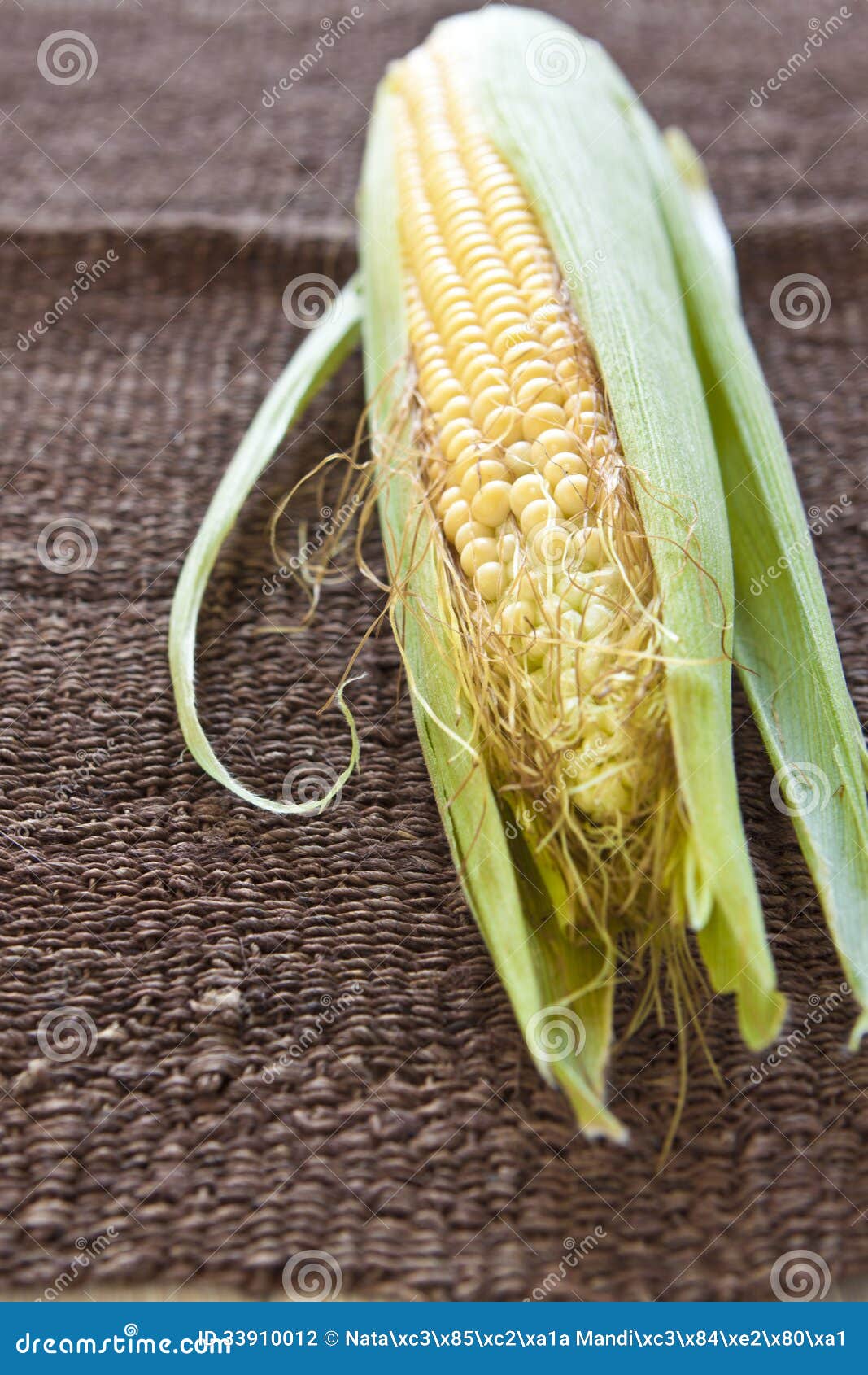 Fresh Corn Vegetable with Green Leaves Stock Photo Image of food