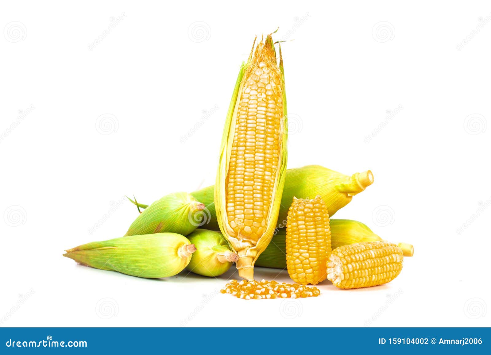 Fresh Corncobs or Corn Ears Isolated on White Stock Photo Image of