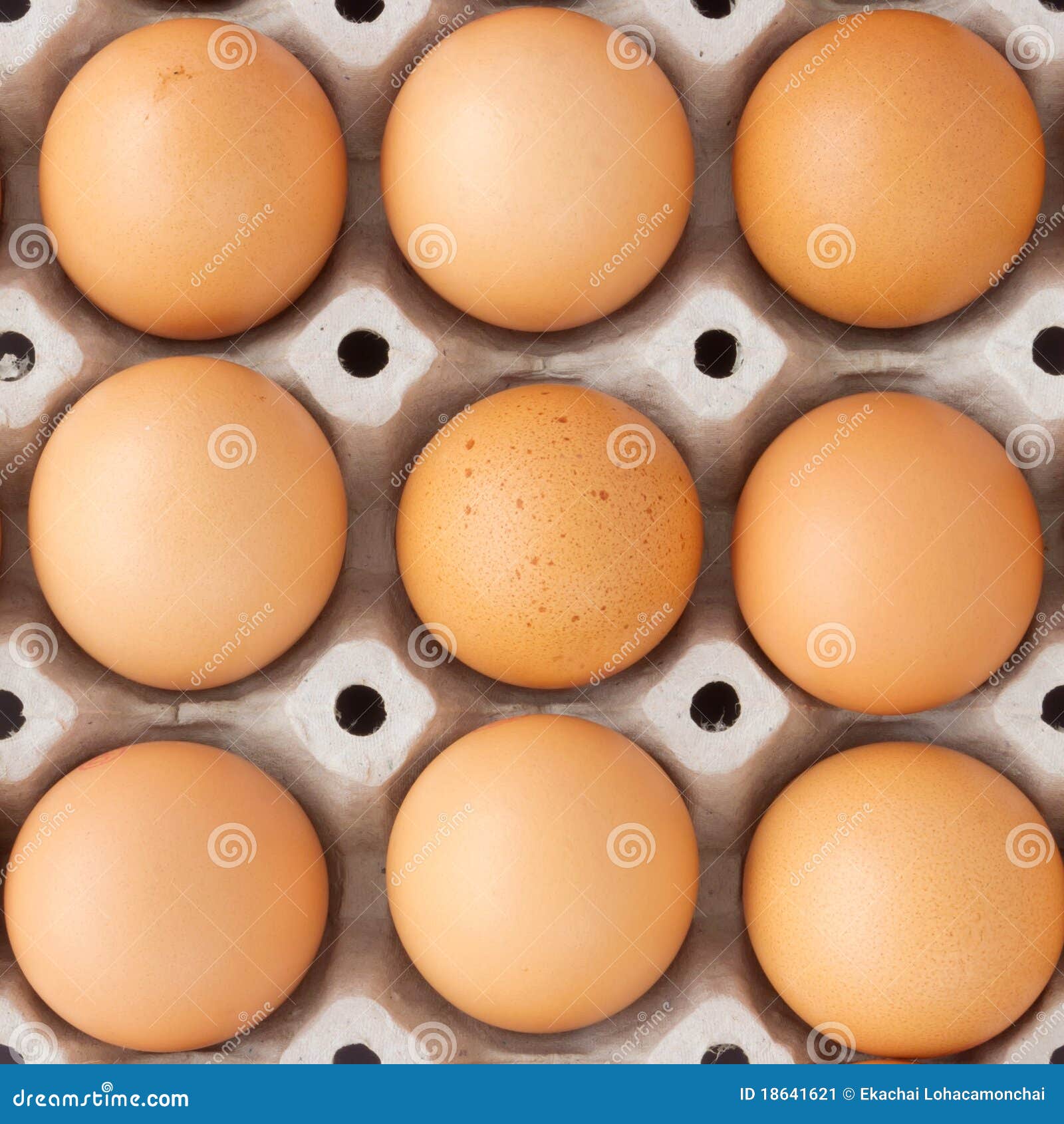 Fresh country eggs stock image. Image of farm, easter 18641621