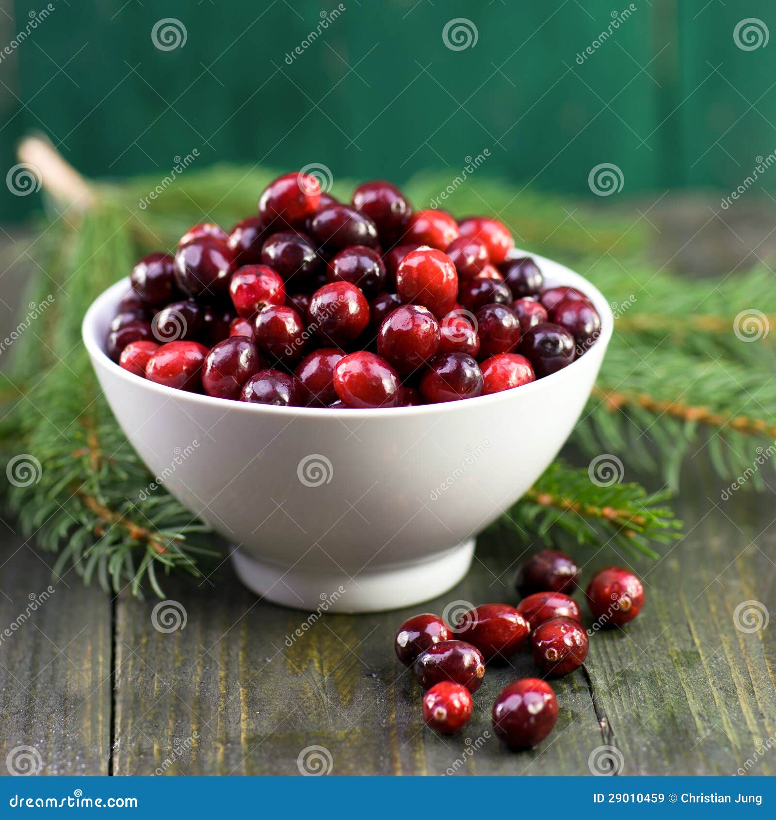 Fresh cranberries stock image. Image of vitamins, bowl 29010459