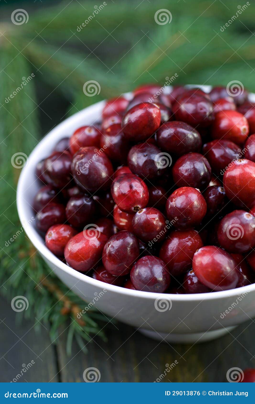 Fresh cranberries stock photo. Image of time, fresh, nutrition 29013876