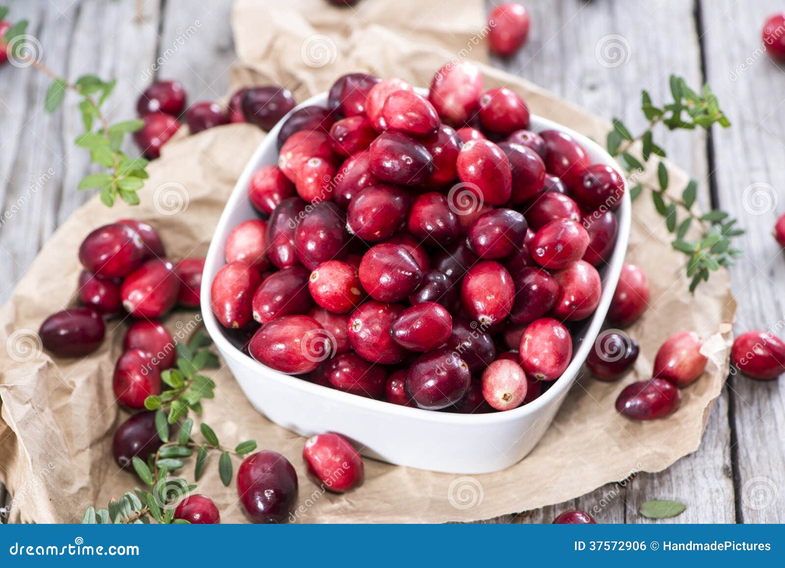Fresh Cranberries stock photo. Image of portion, close 37572906