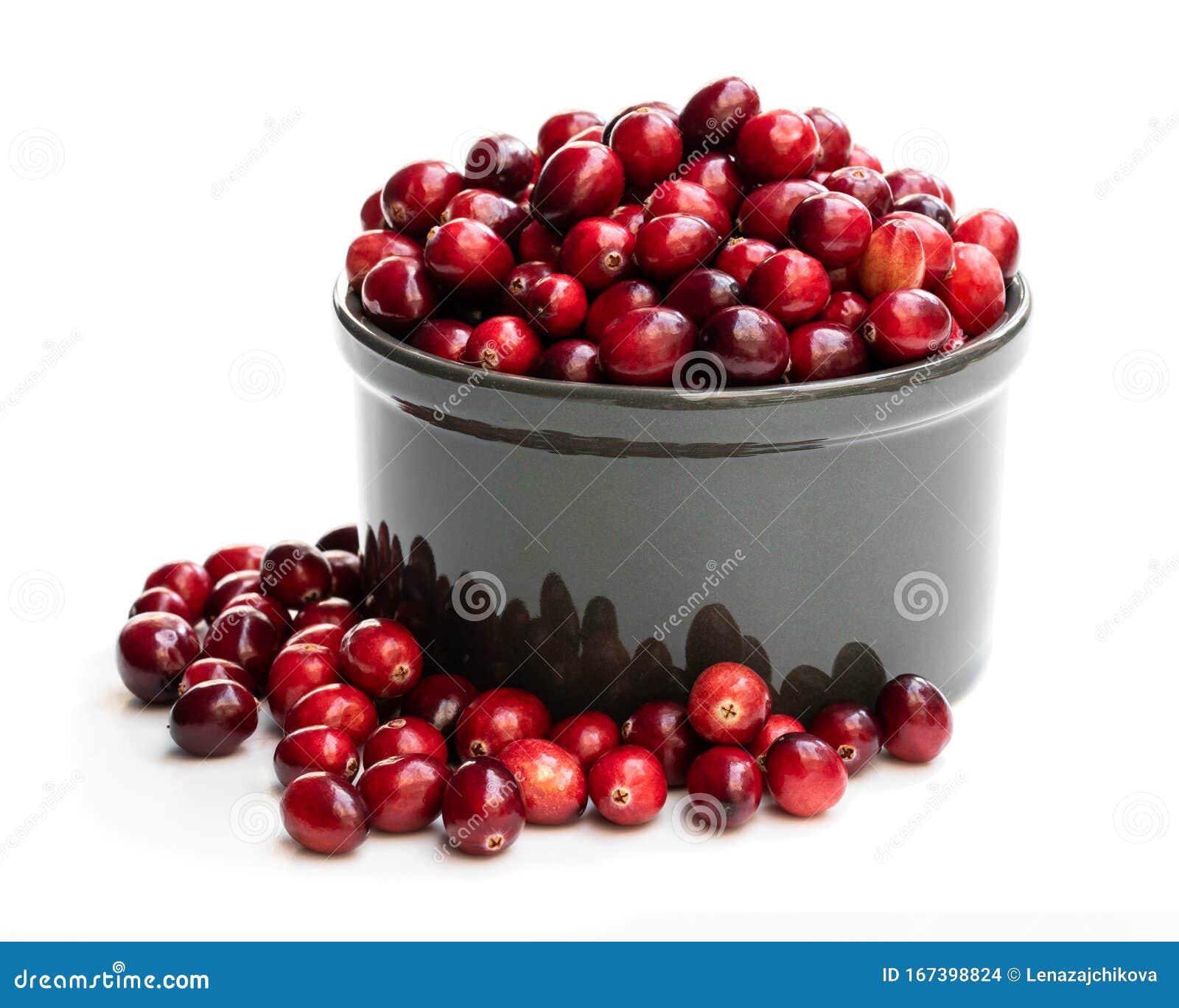 Fresh Cranberries in Ceramic Pot Isolated on White Stock Photo Image