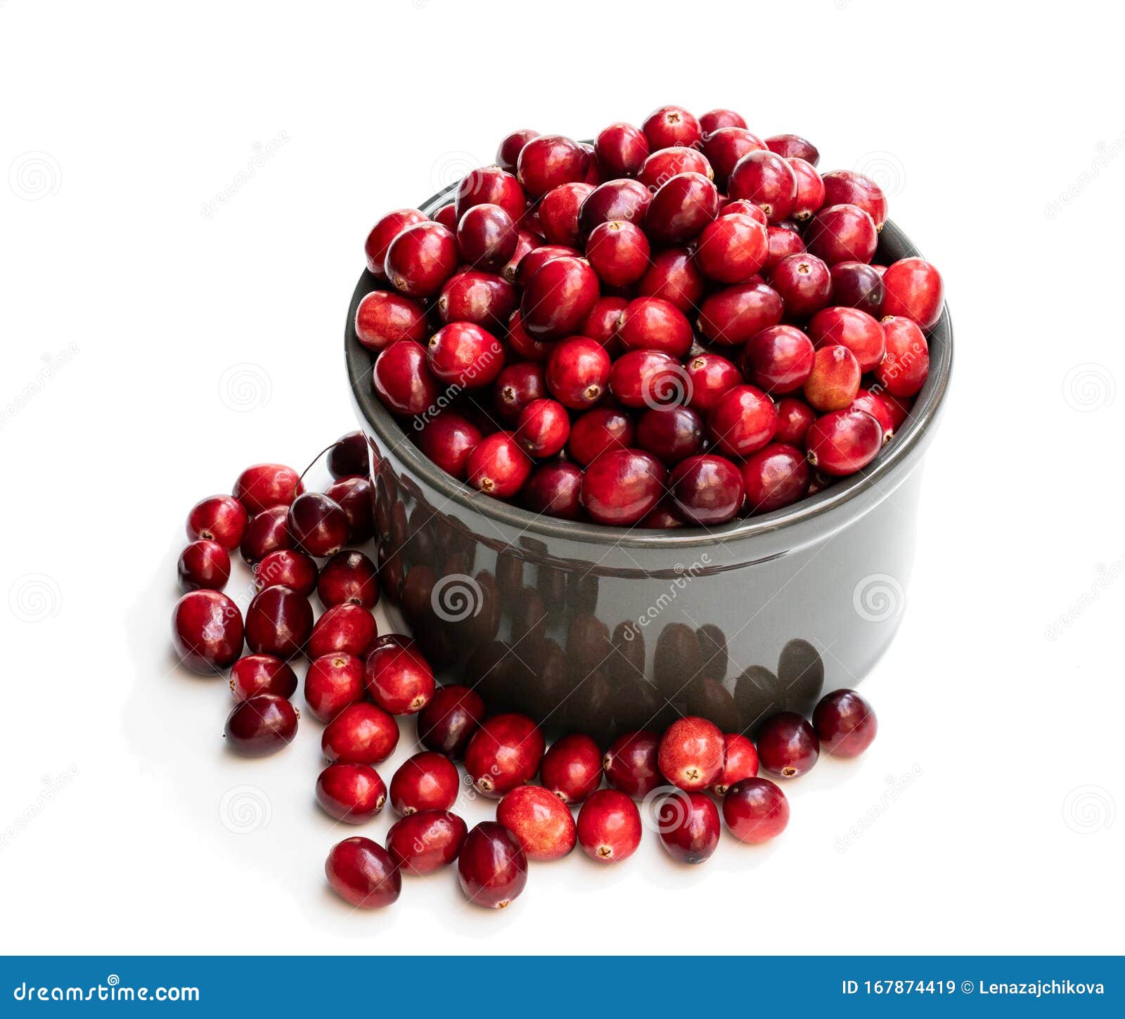 Fresh Cranberries in Ceramic Pot Isolated on White Stock Image Image