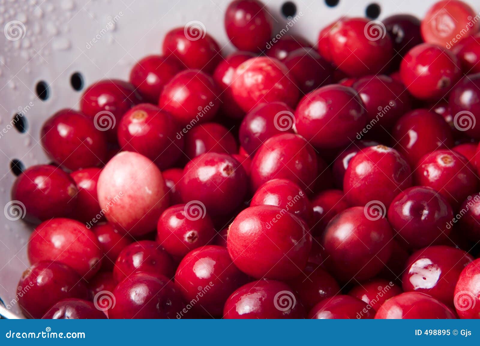 fresh cranberries in colander