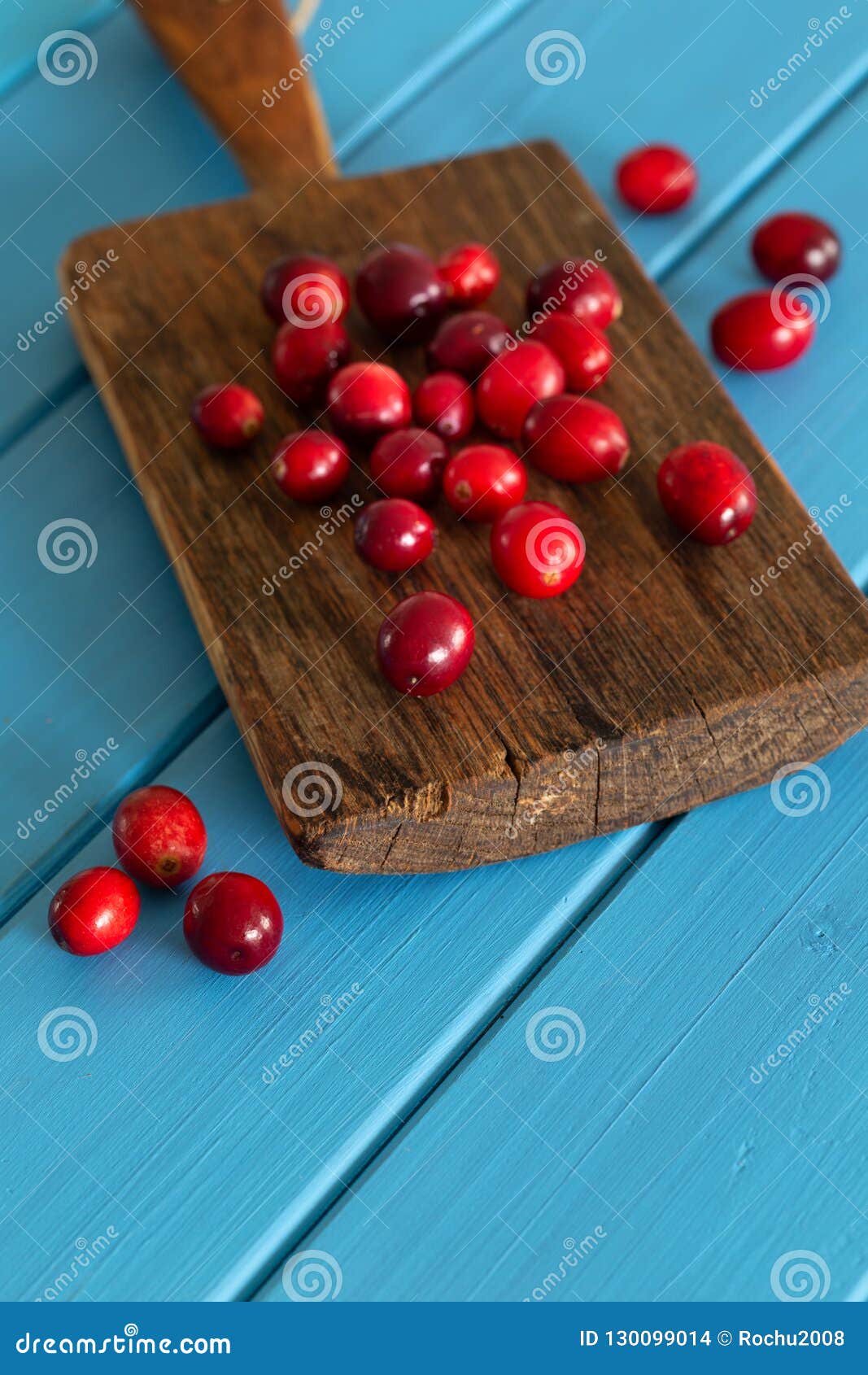 Fresh cranberry fruit stock photo. Image of ripe, berry 130099014
