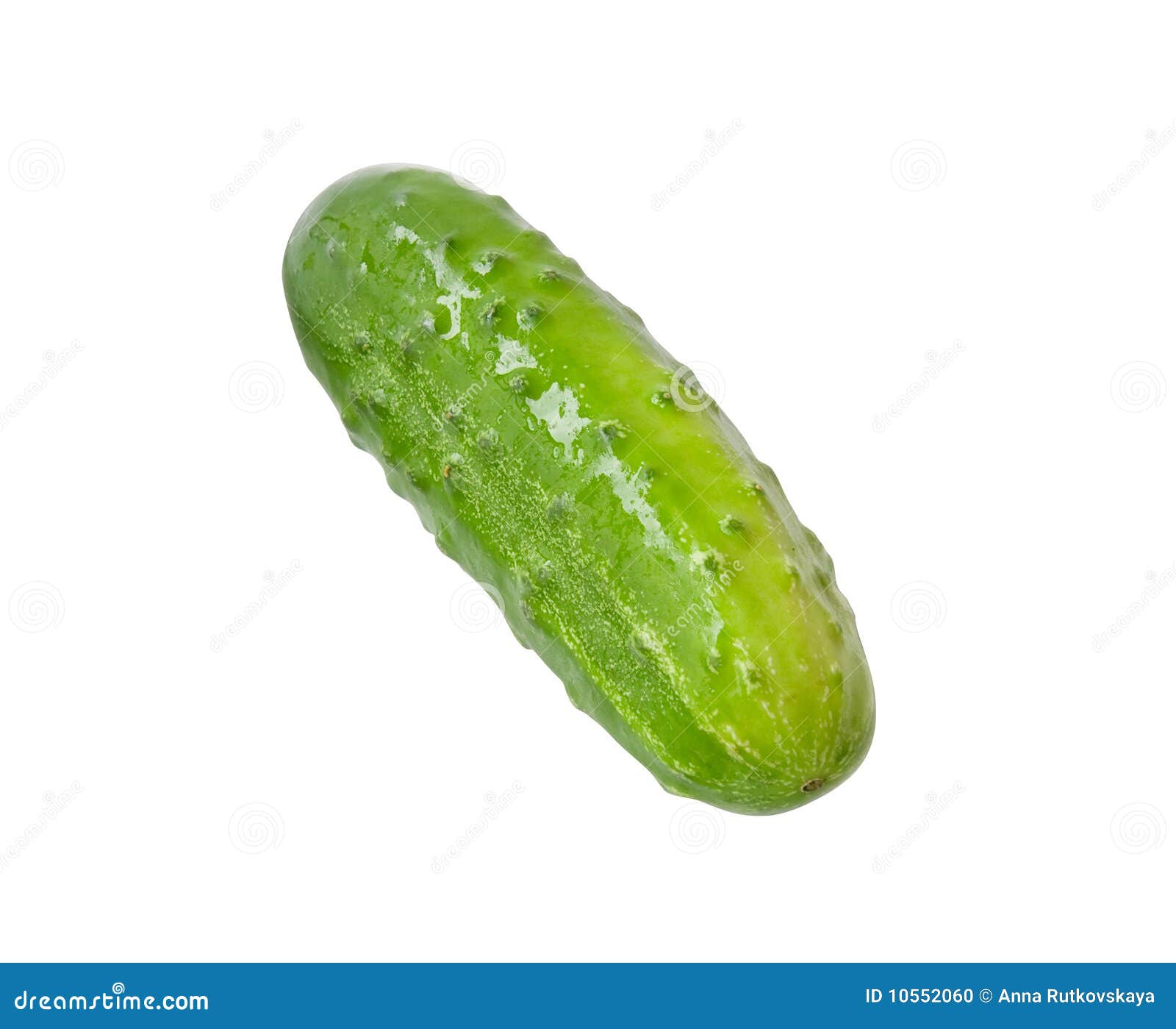 Fresh cucumber stock photo. Image of ingredient, isolated 10552060