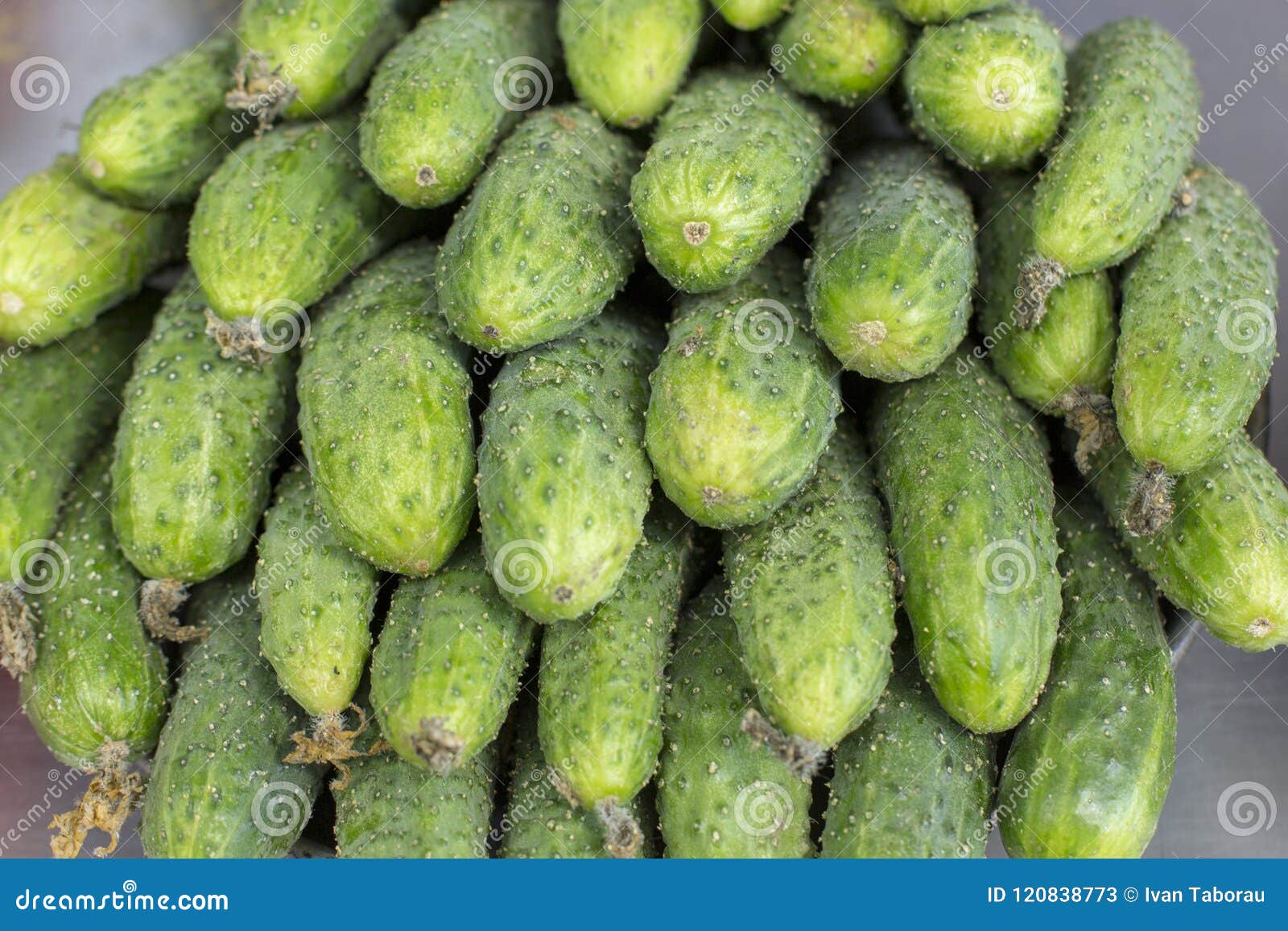 Fresh Cucumber Abstract Fruit Colorful Pattern Texture Background Stock Image Image of food