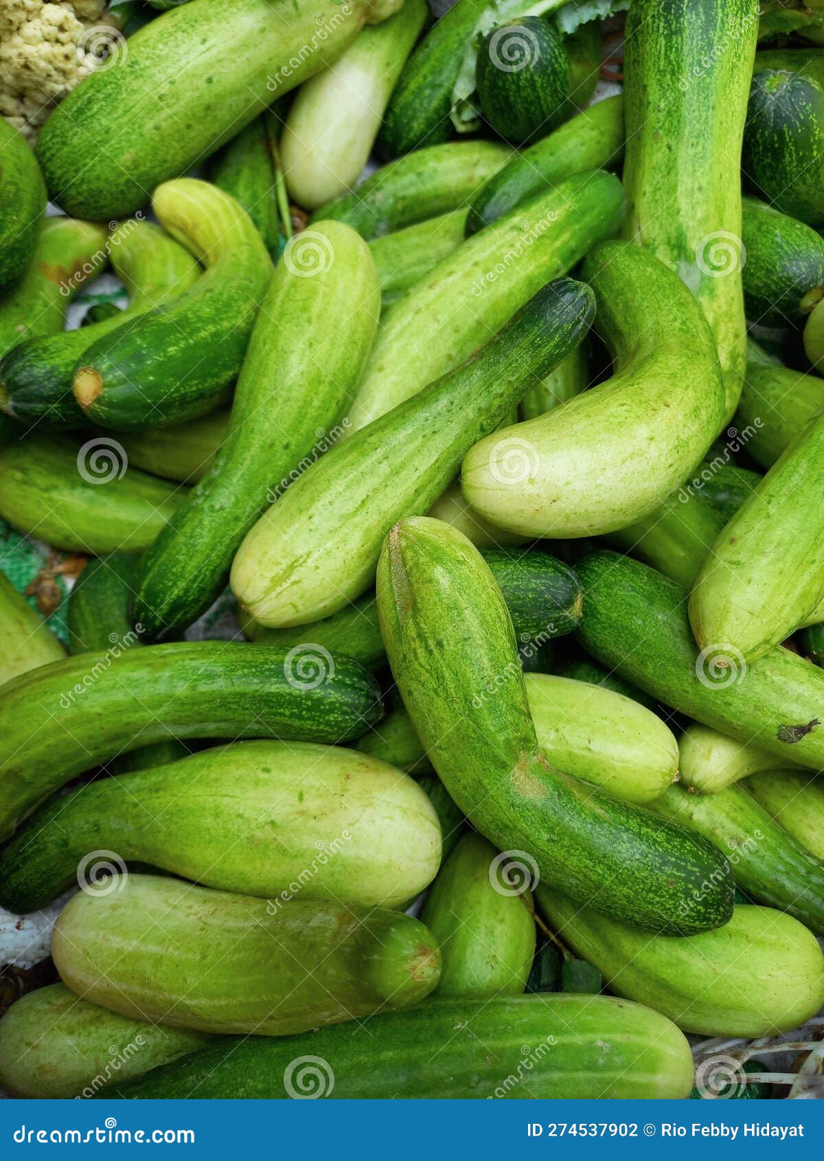 Fresh Cucumber Fruit Texture Background in Market Stock Photo Image of cucumber, fresh 274537902