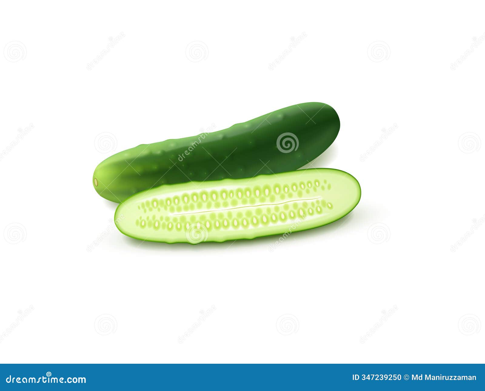 fresh cucumber  on white background. raw vegetable ideal for salads, snacking, or culinary use