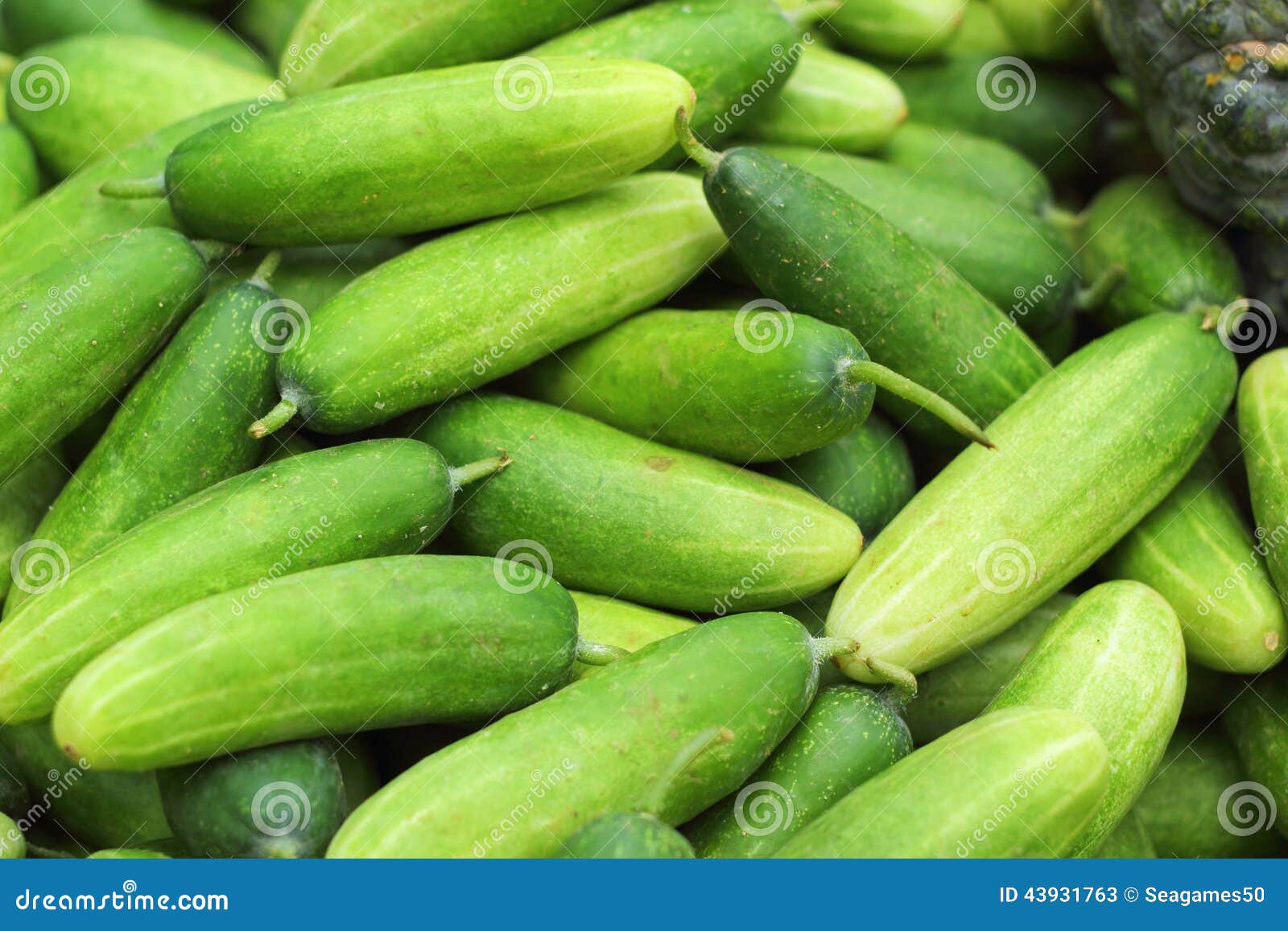 Fresh Cucumber in the Market Stock Image Image of fresh, slice 43931763
