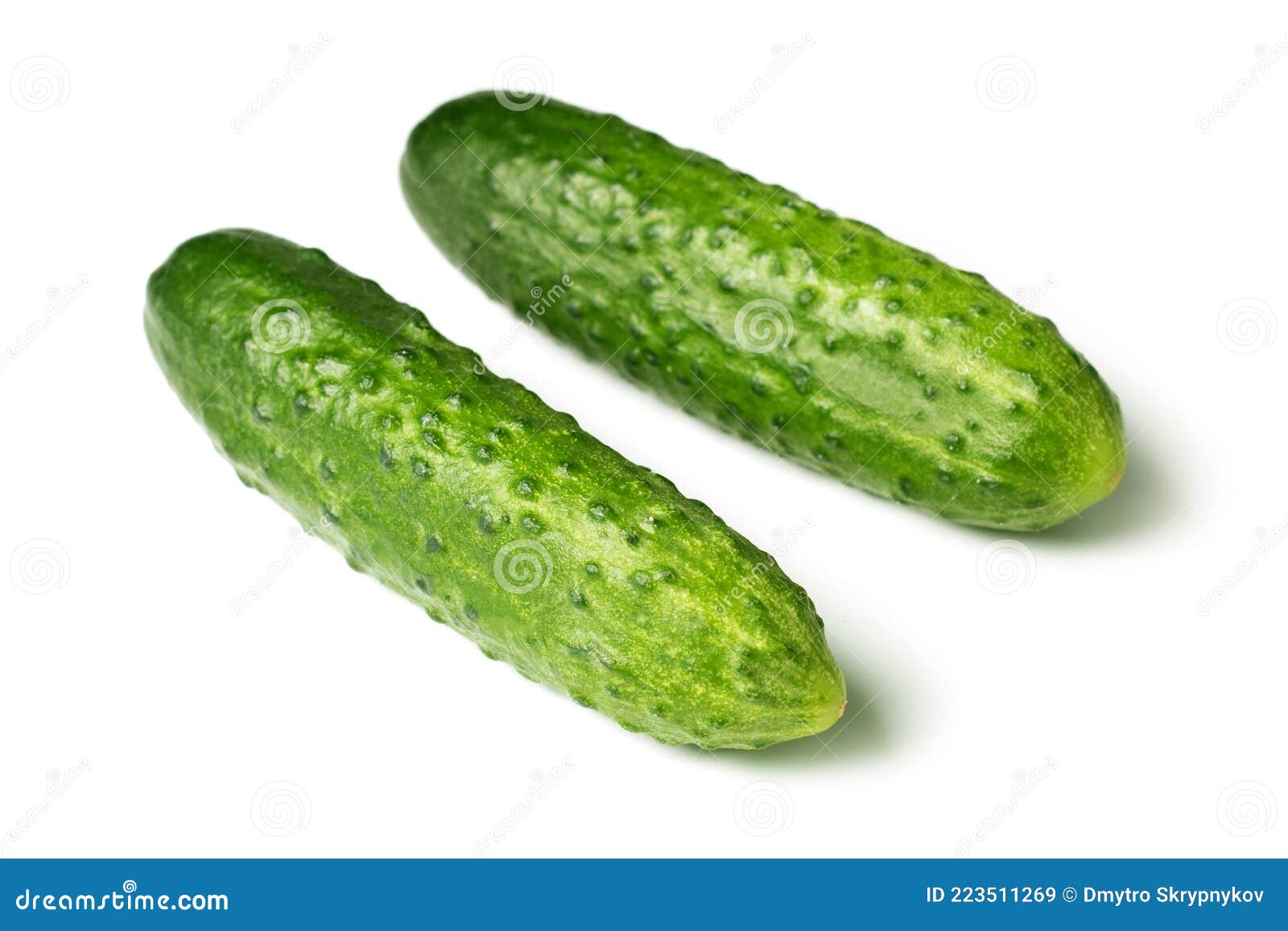 Fresh Cucumbers Isolated on White Stock Image Image of ingredient