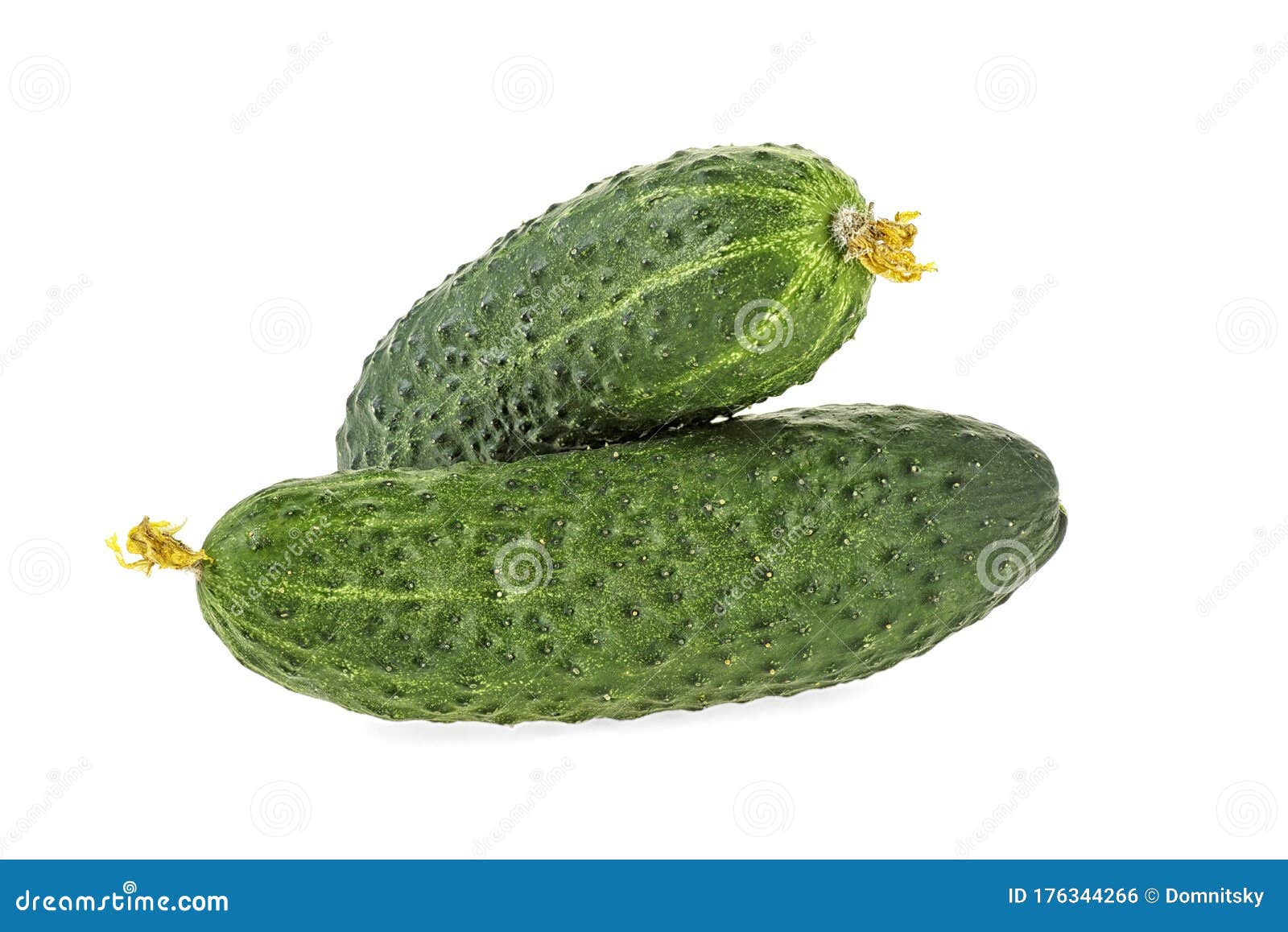 fresh cucumbers  on white background