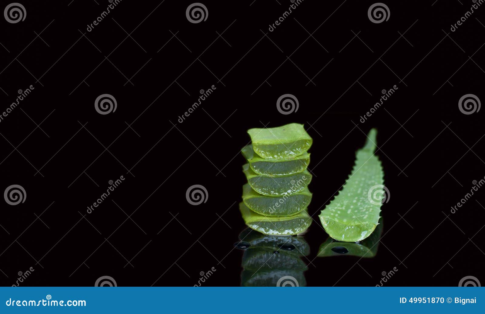 Fresh Cut Aloe Vera Leaf Isolated Stock Photo Image of herb