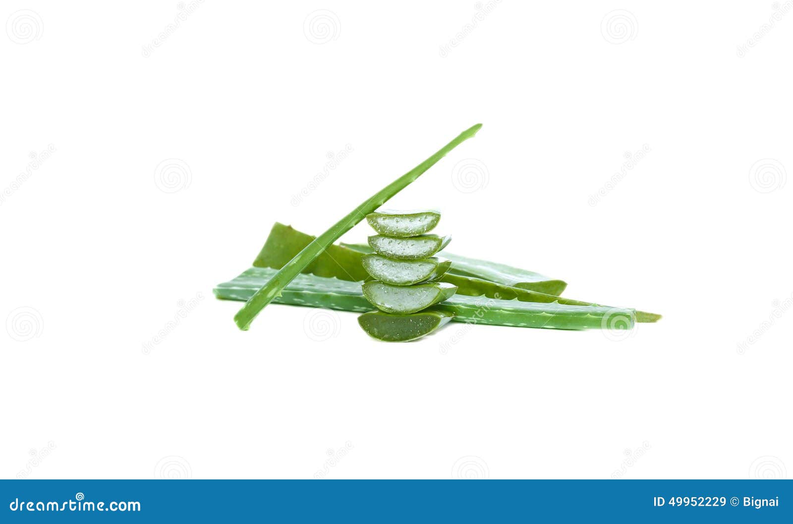 Fresh Cut Aloe Vera Leaf Isolated Stock Image Image of beauty, aloe