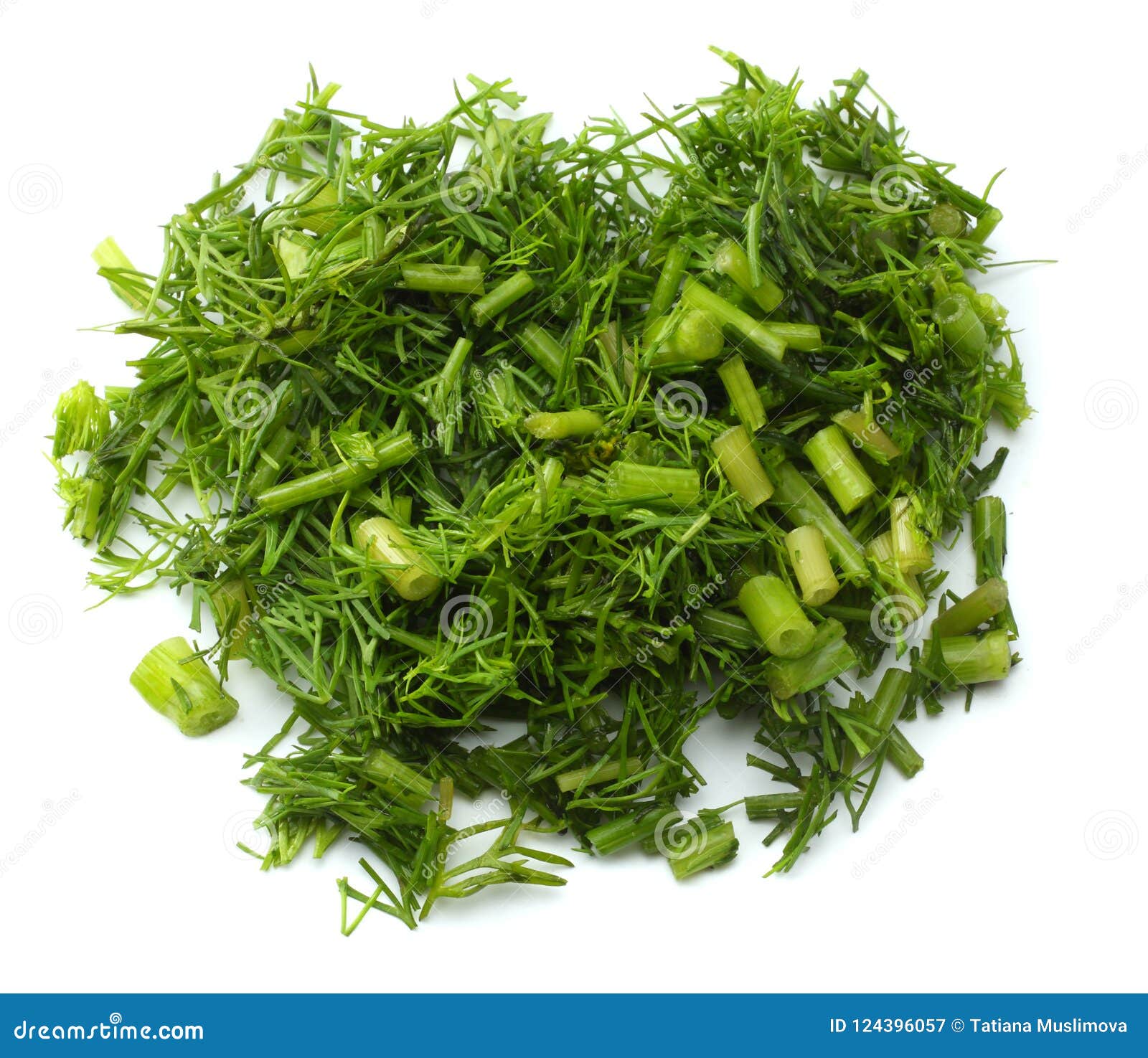 Fresh Cut Dill Isolated on White Background Stock Image Image of