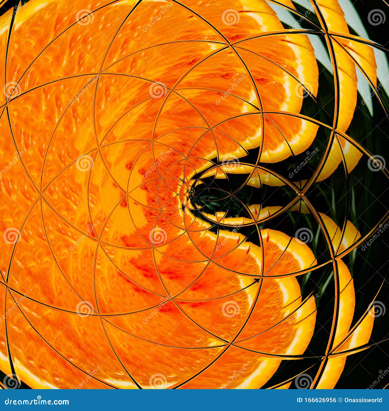 Fresh Cut Orange Fruit Abstract Art Stock Photo Image of fresh