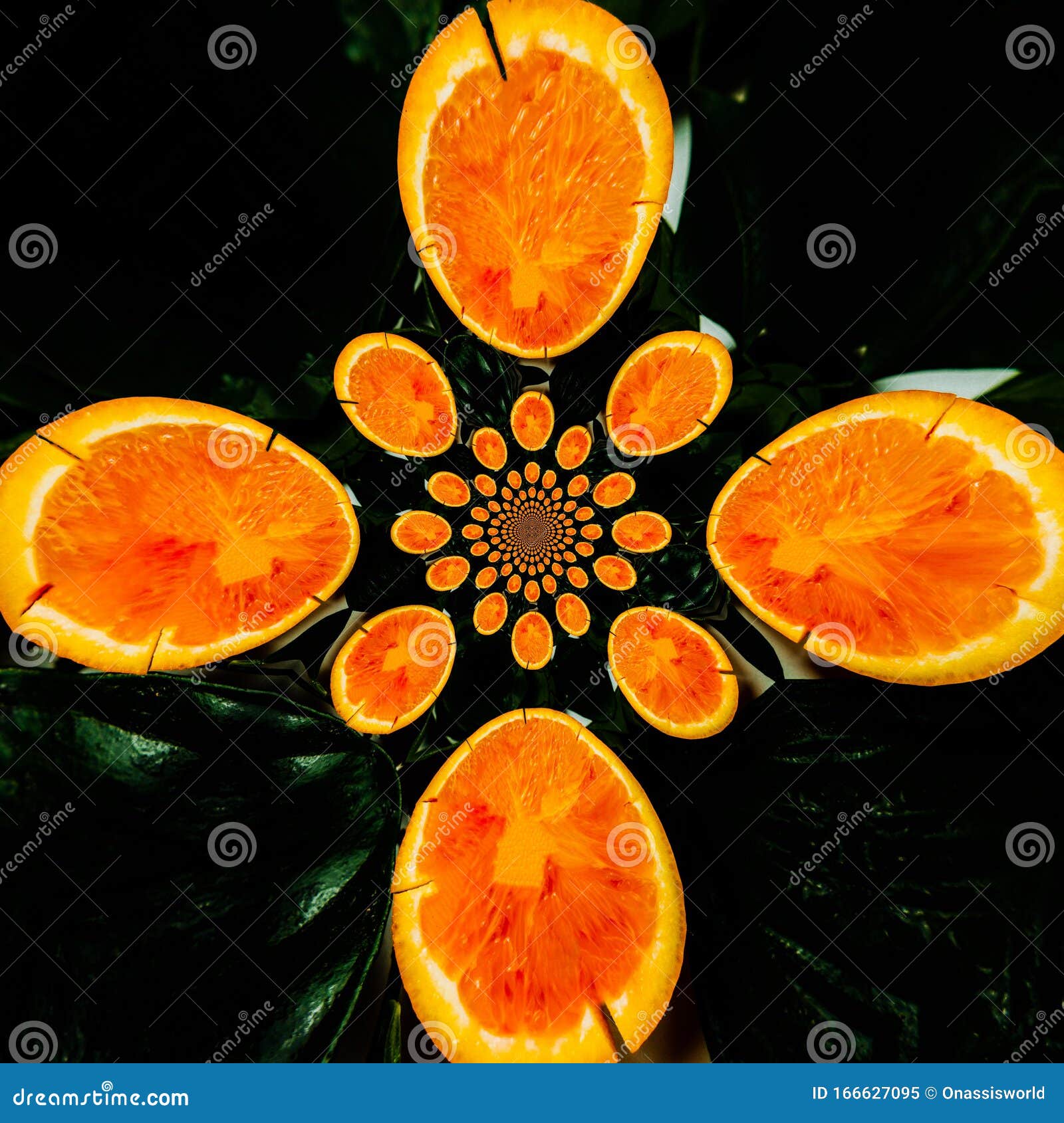 Fresh Cut Orange Fruit Abstract Art Stock Image Image of fruit