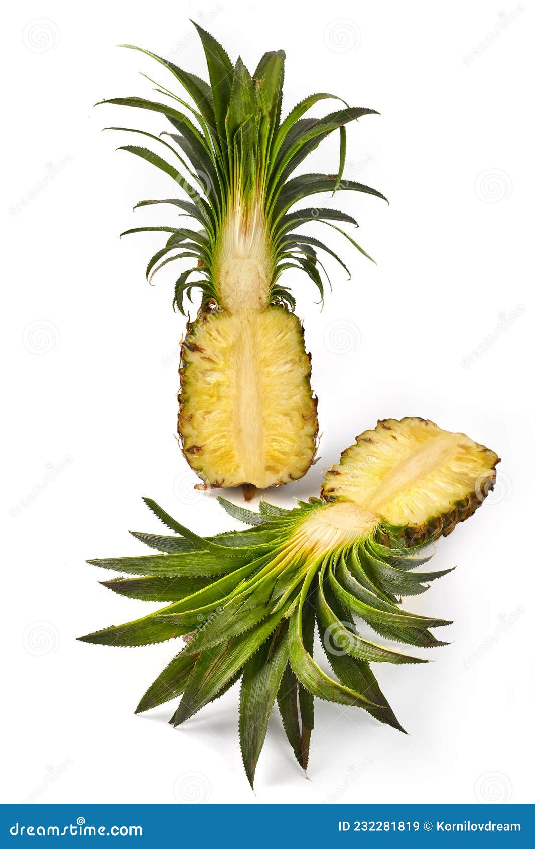 Fresh Cut Pineapple in Half Isolated on White Stock Image Image of
