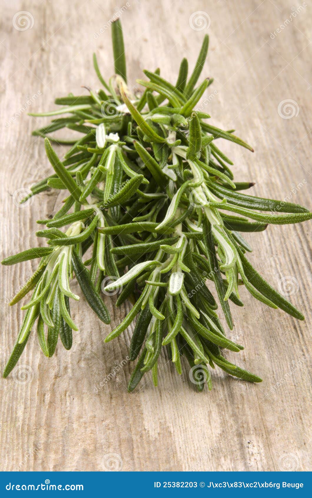 Fresh Cut Rosemary on an Wooden Panel Stock Image Image of spice