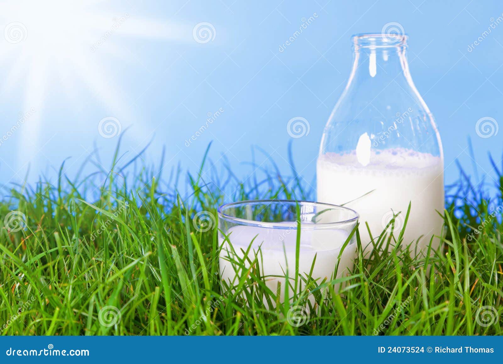 Fresh Dairy Milk In Glass And Bottle Stock Images Image 24073524